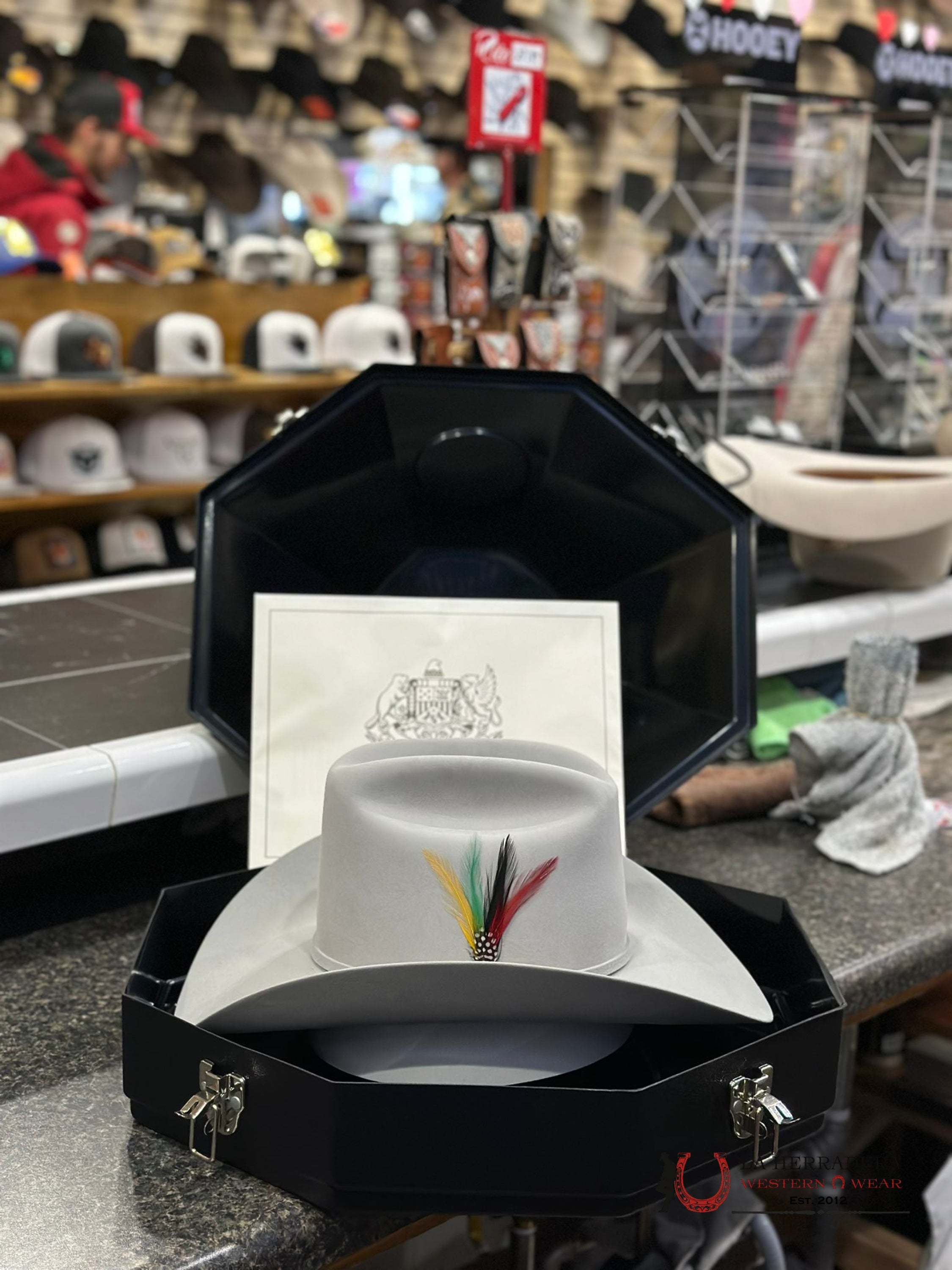 Stetson Cowboy Hat 100X El Presidente Mist Grey Copa Alta Tejana