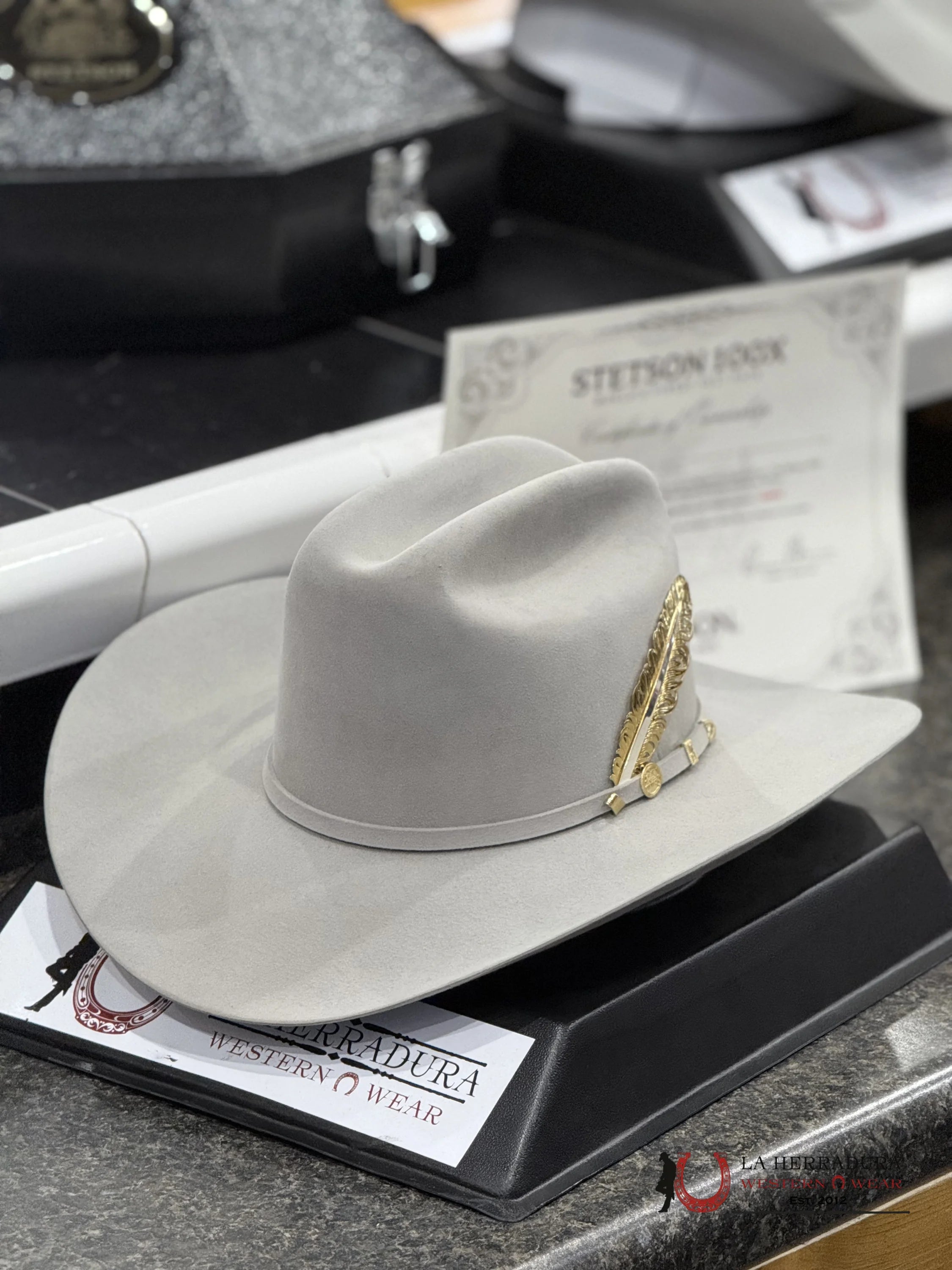 Stetson Cowboy Hat 100X El Presidente Mist Grey Copa Chica Tejana