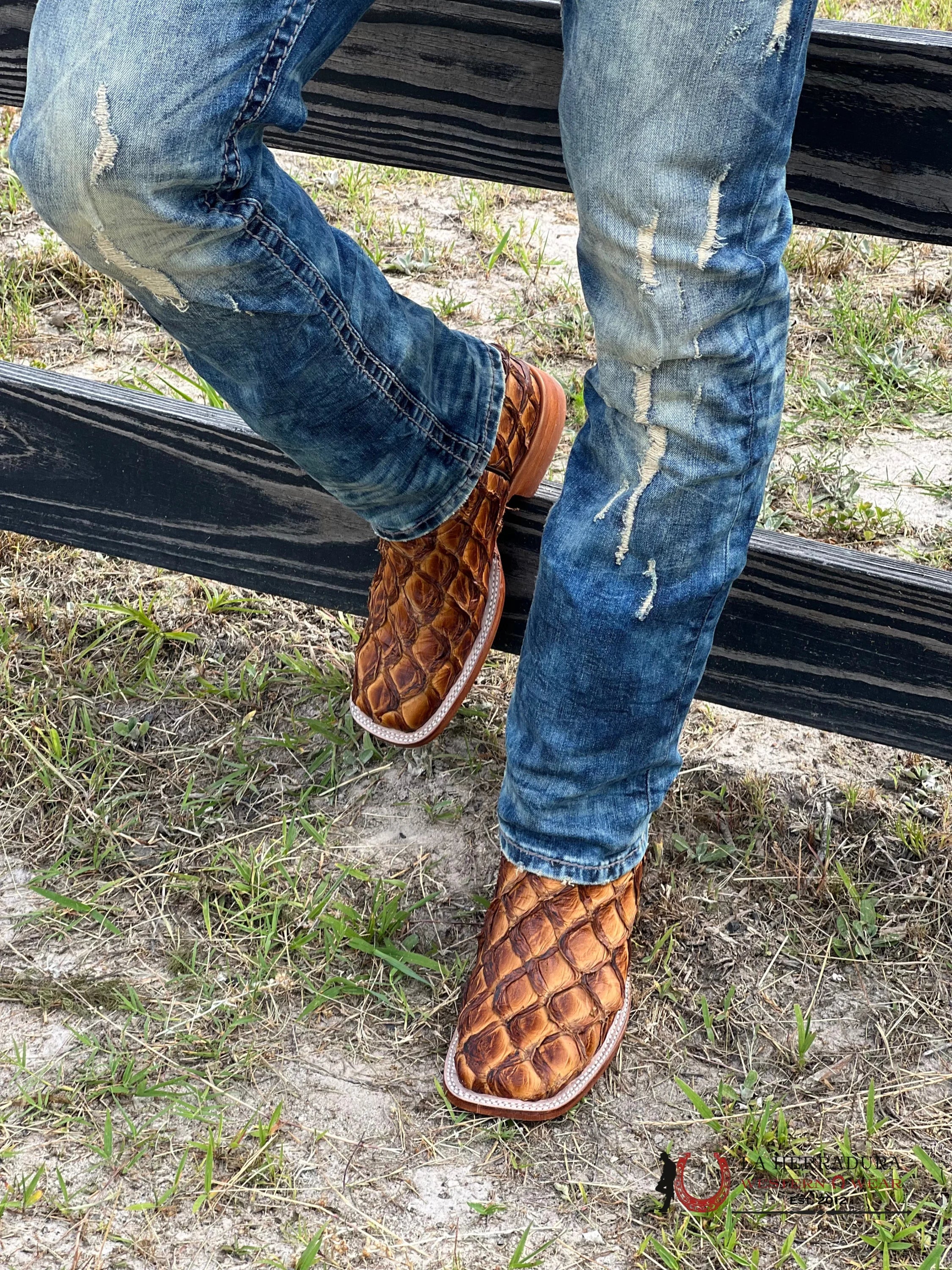 Tanner Mark Boots Square Toe Cognac Exotic Fish Skin Botas Hombres