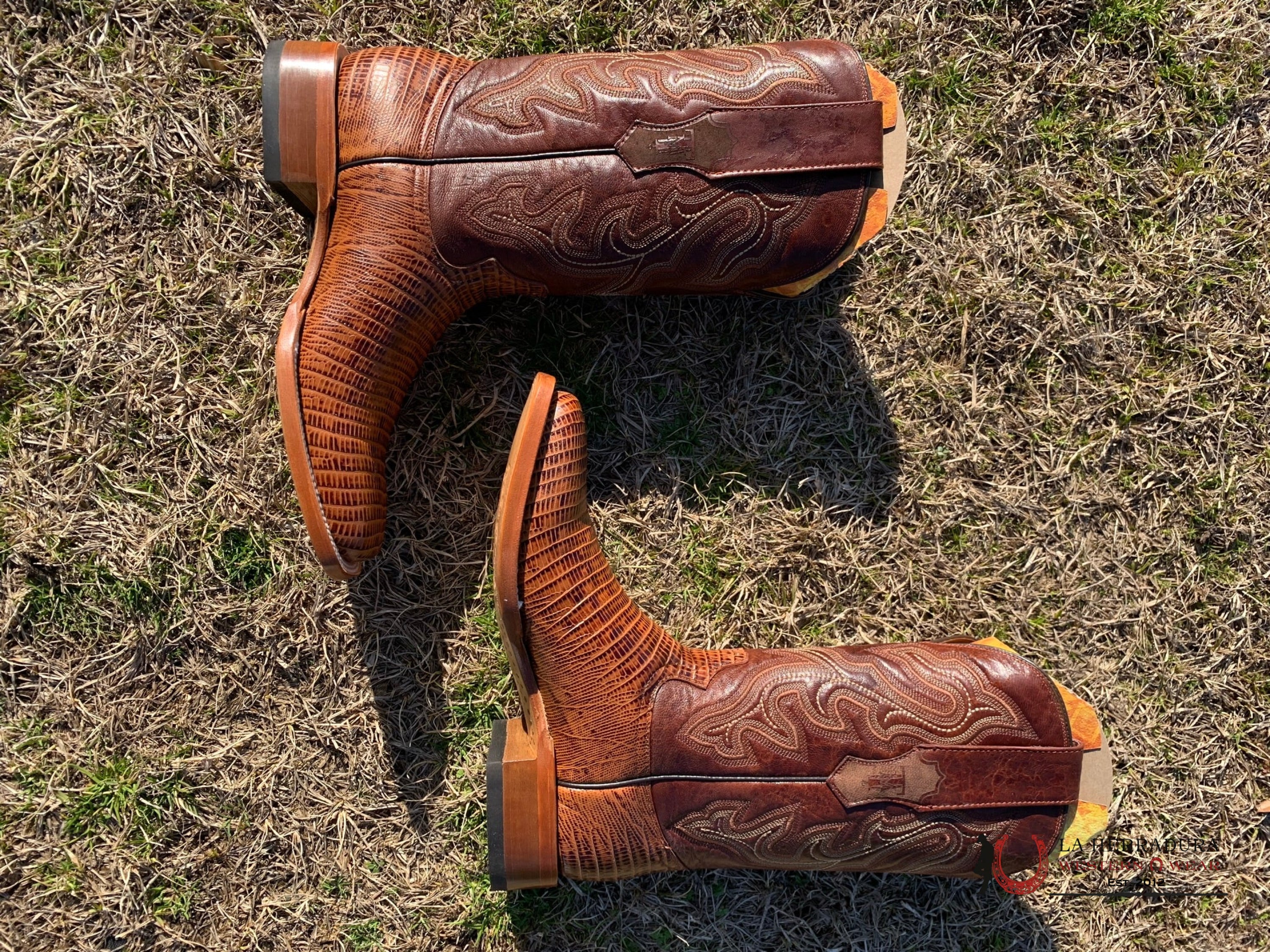 Tanner Mark Boots Square Toe Lizard Skin 10 Usa (México 29) / Coñac Botas Hombres