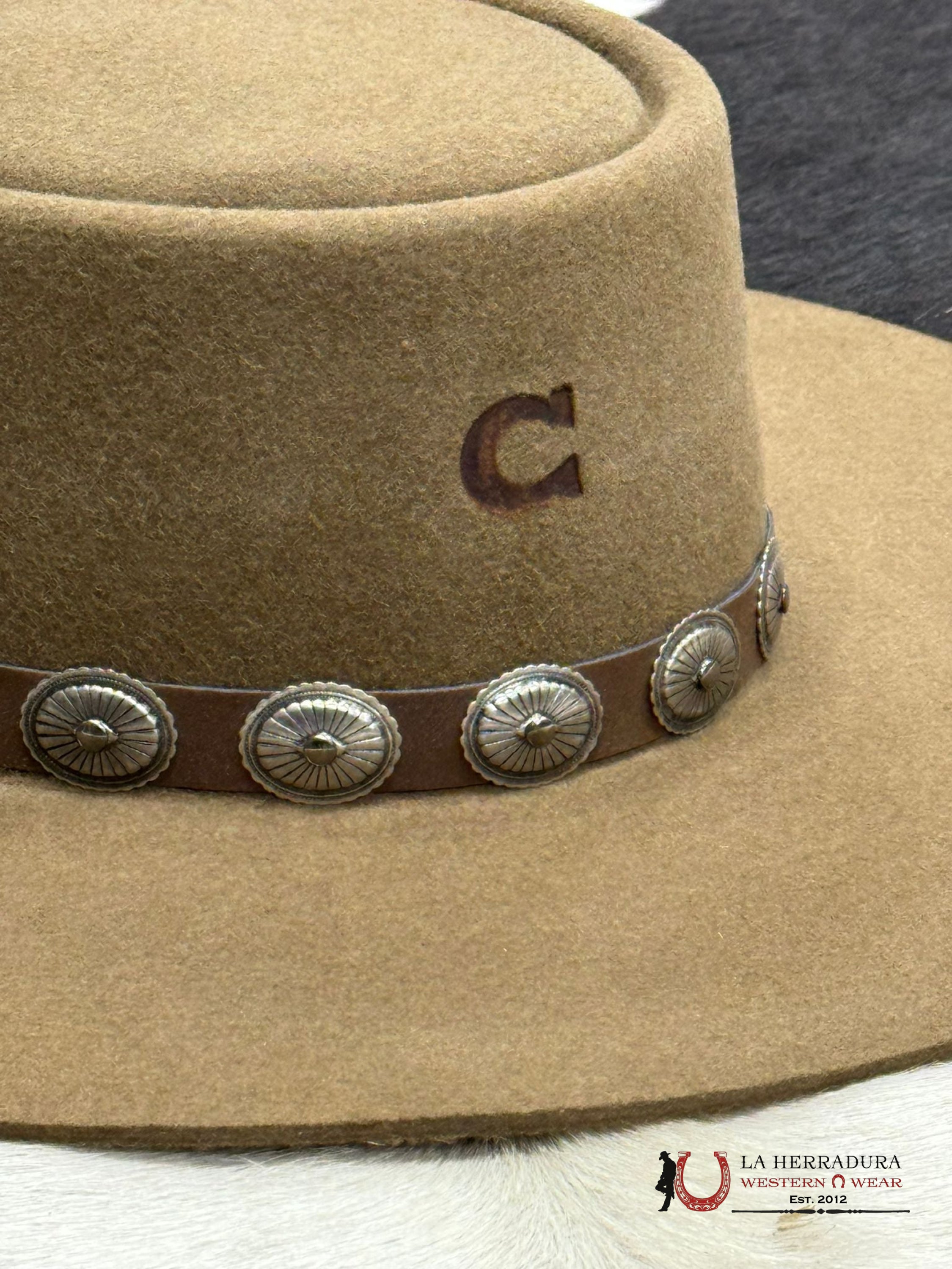 Texana Charlie Horse Pecan High Desert Texanas Mujeres