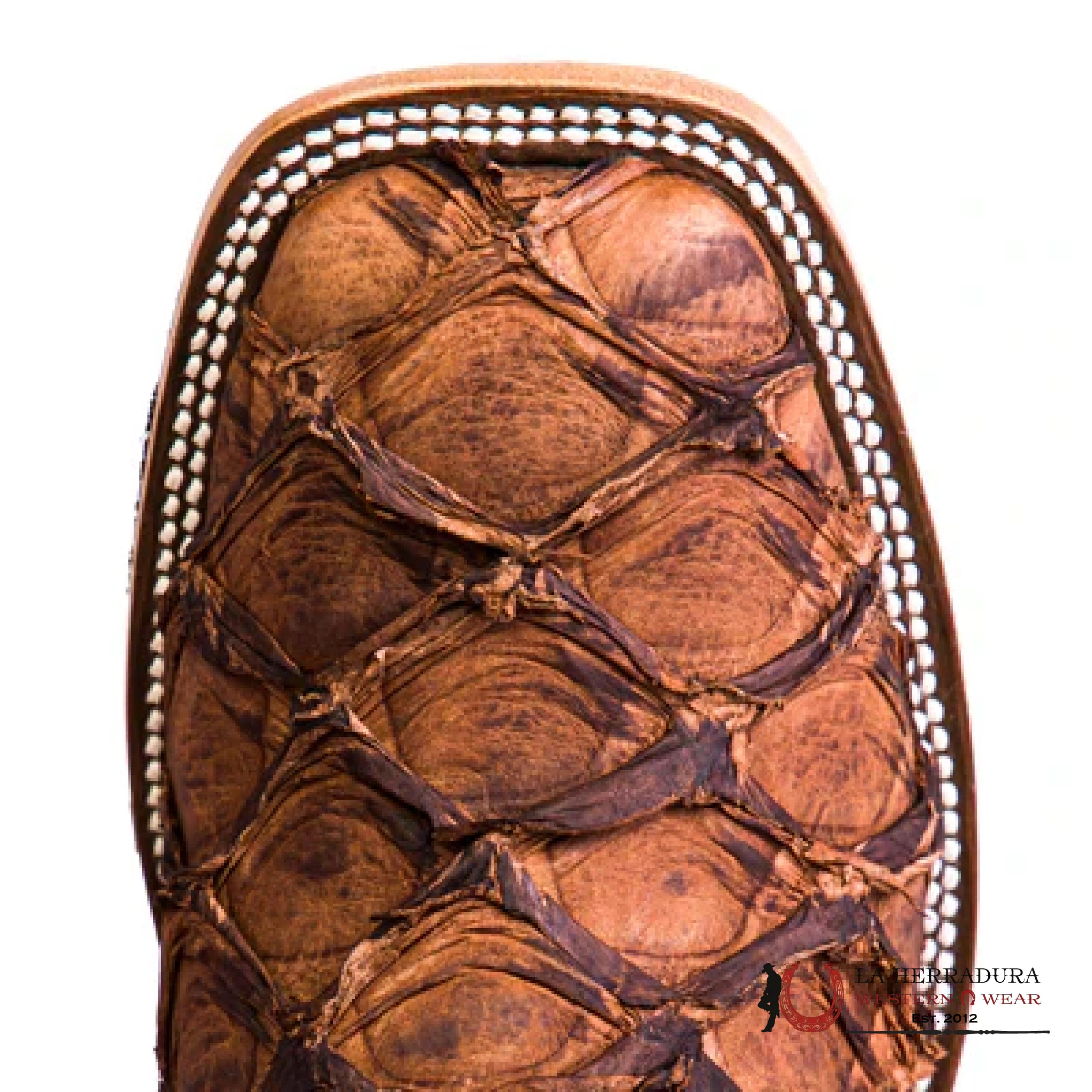 HORSE POWER CIGAR MATTE BIG BASS ROYAL BLUE SINSATION BOTAS HOMBRES