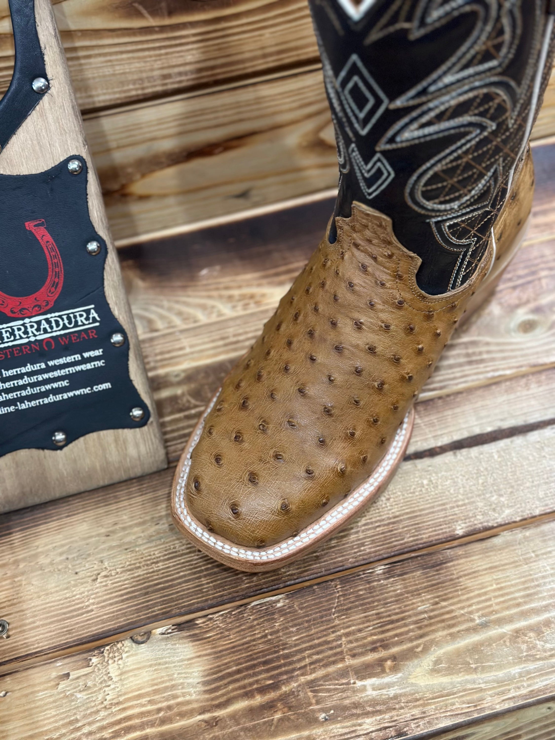 TORO SENTADO MEN AVESTRUZ BRICIATTO MANTEQUILLA/BILLY CALF NAVY-