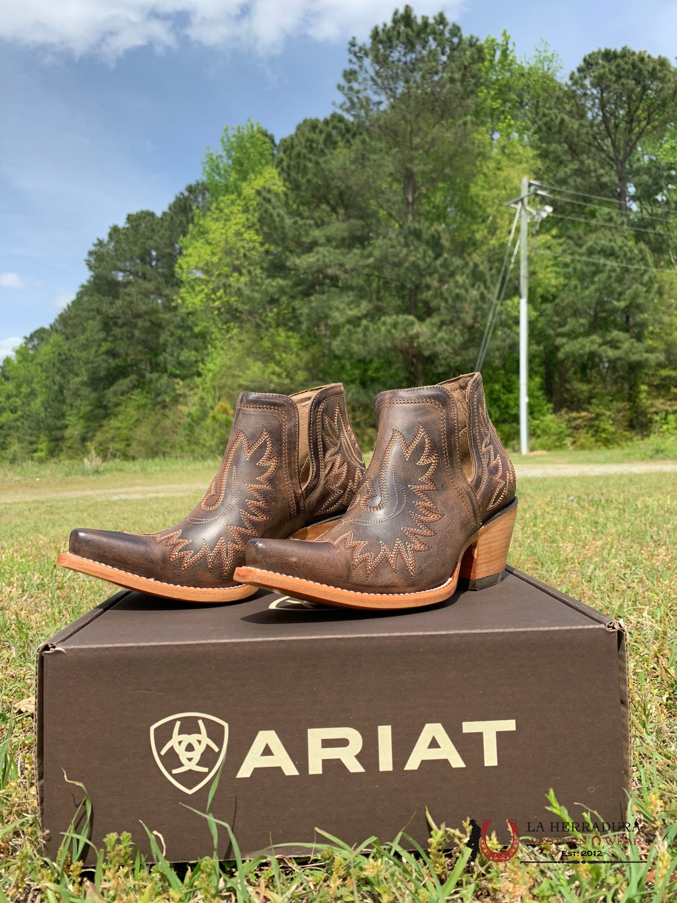 Western Boots For Women Weathered Brown Botas Mujeres
