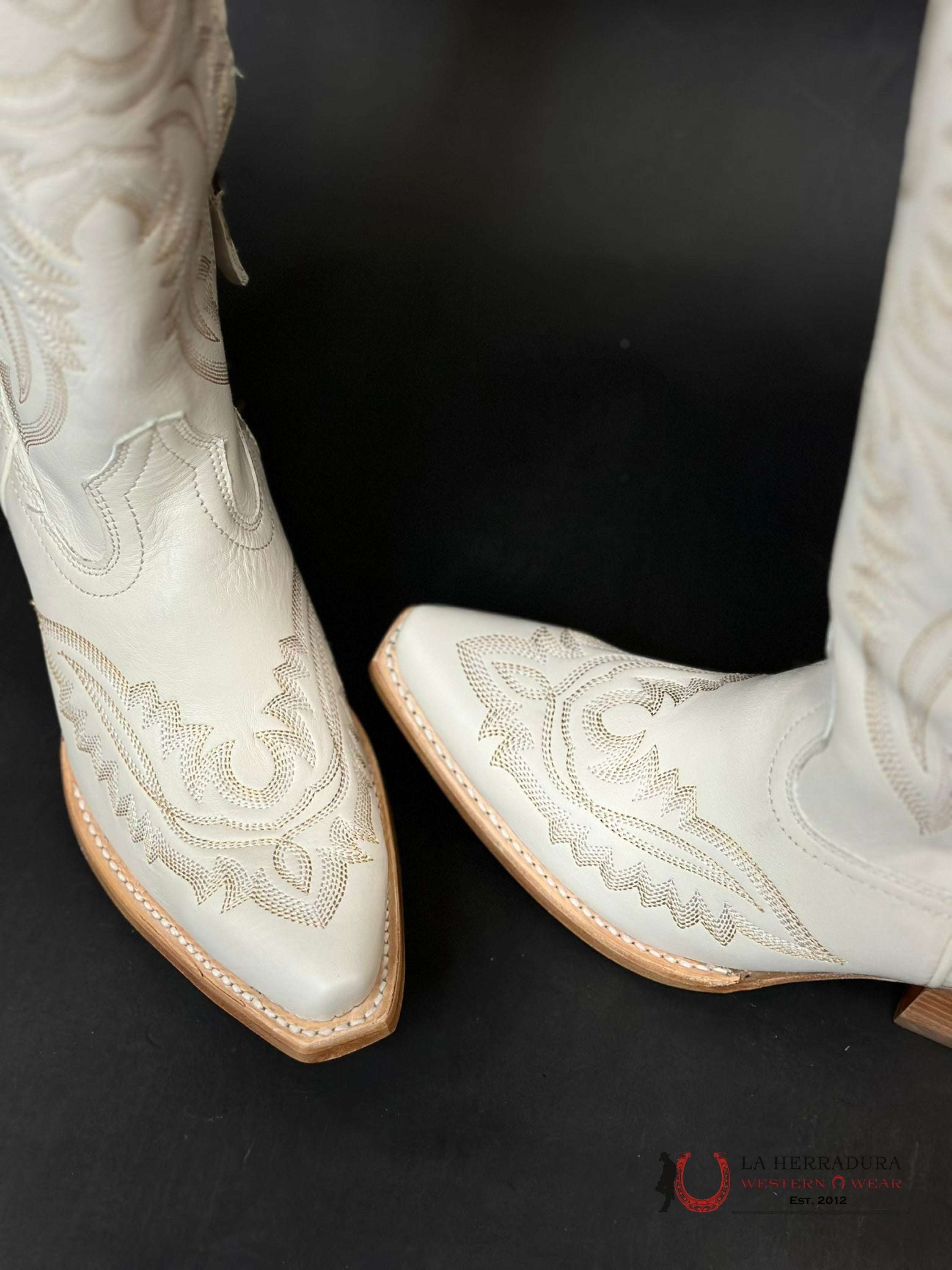 Womens Ariat Casanova Blanco Tall Boot Botas Mujeres