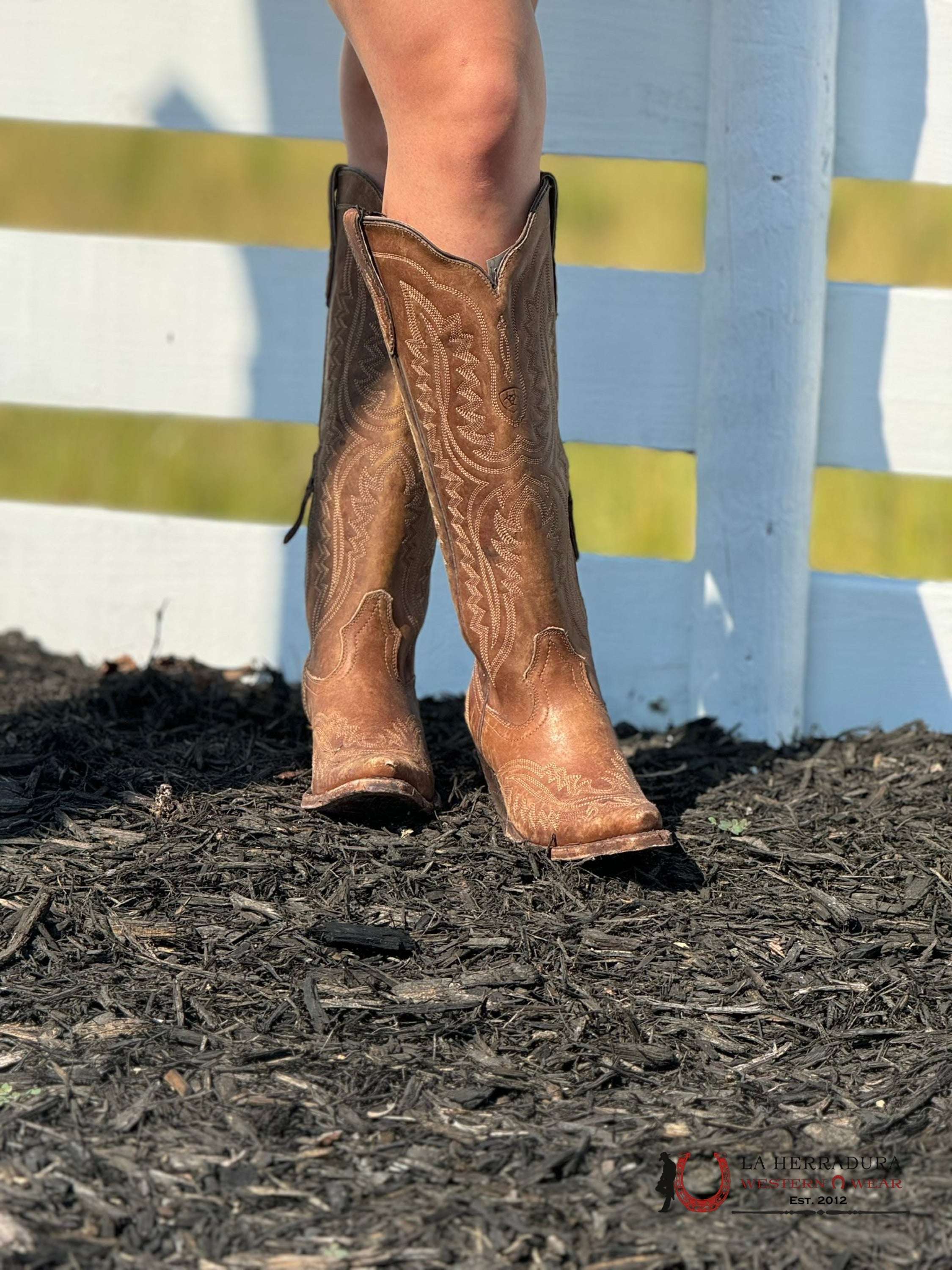 Womens Ariat Casanova Naturally Distressed Brown Tall Boot Botas Mujeres
