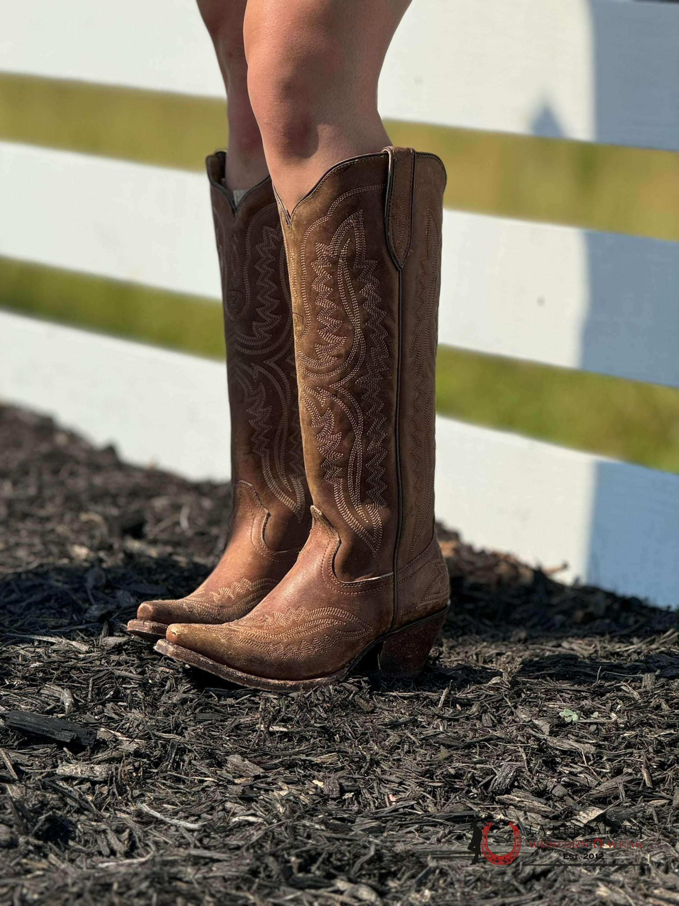 Womens Ariat Casanova Naturally Distressed Brown Tall Boot Botas Mujeres