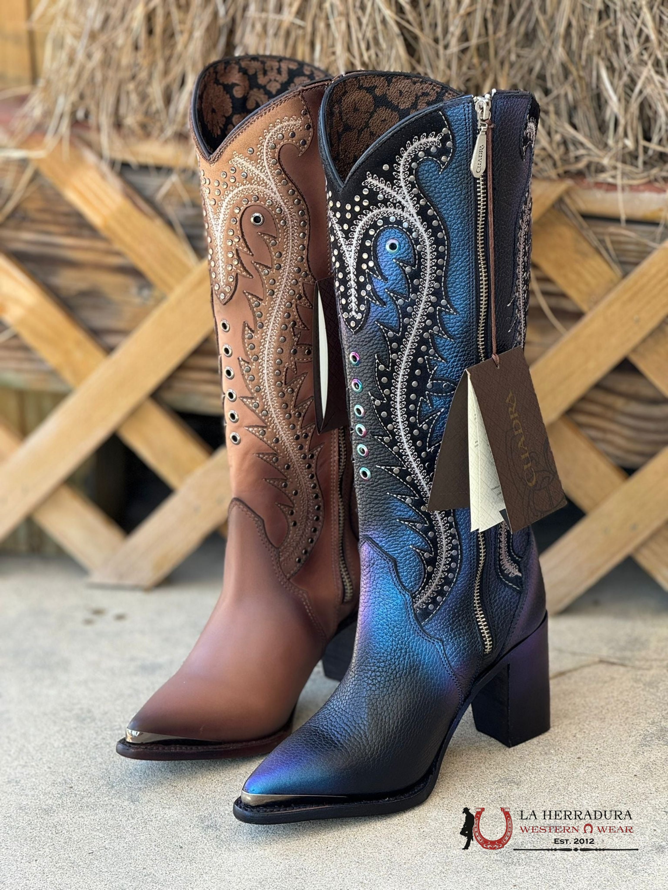 Womens Cuadra De Res Santana Sapphire Negro Pointed Toe Botas Mujeres