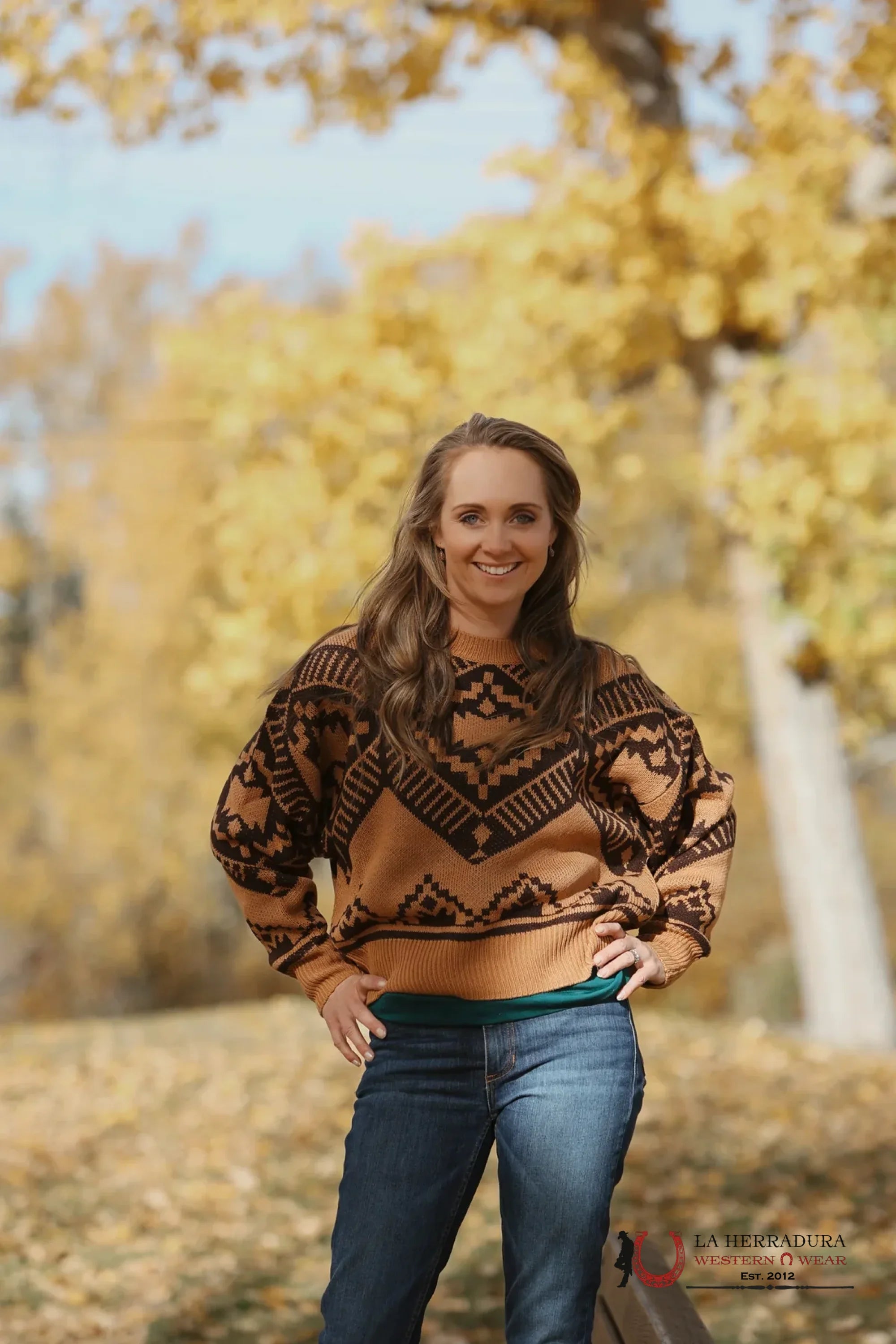 WRANGLER WOMEN SWEATER AMERICAN BROWN 112353001 ROPA MUJERES