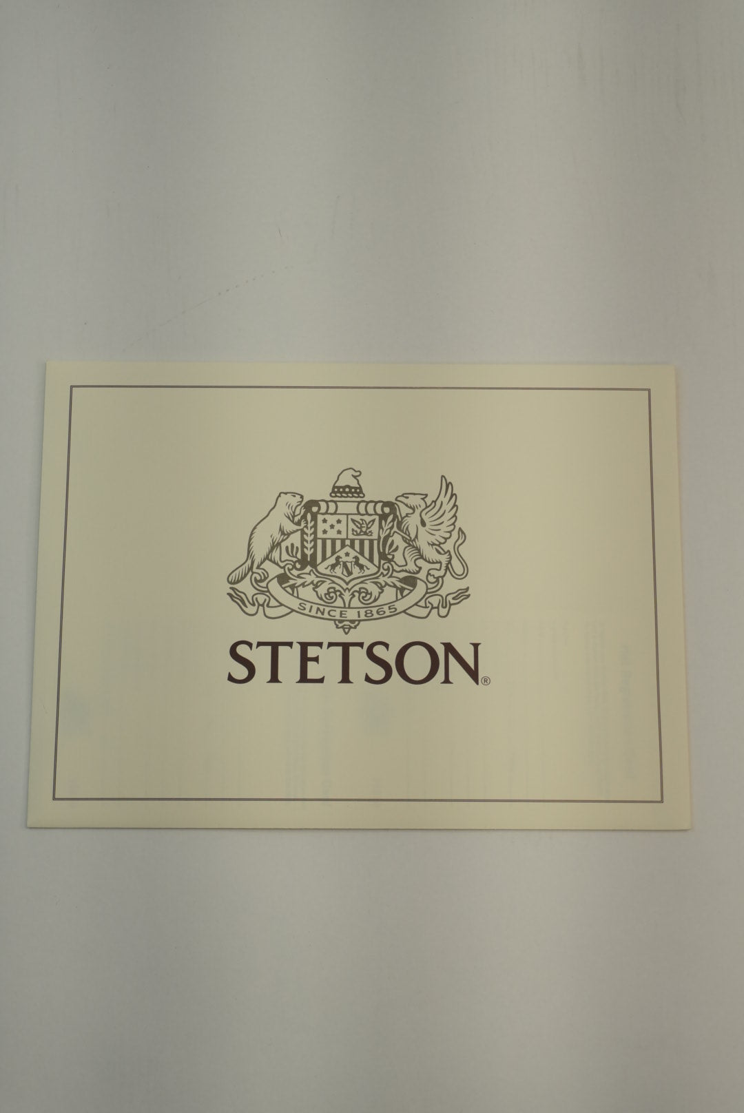 SOMBRERO COWBOY STETSON 100X EL PRESIDENTE VIENTRE PLATA