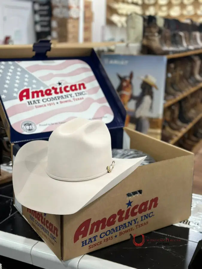 1000X American Felt Hat Silver Belly Tejana