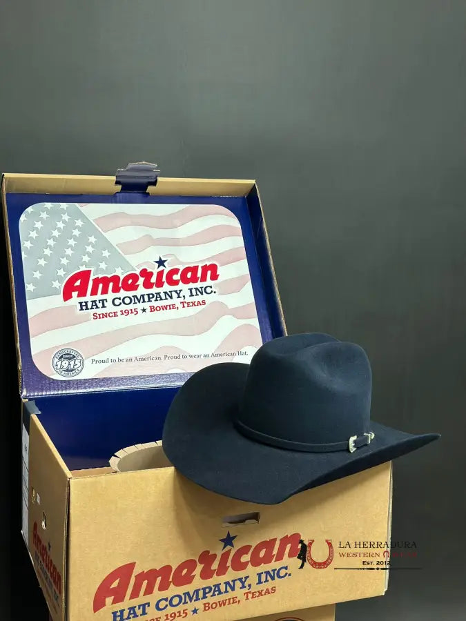 10X American Felt Hat Midnight Blue Tejana