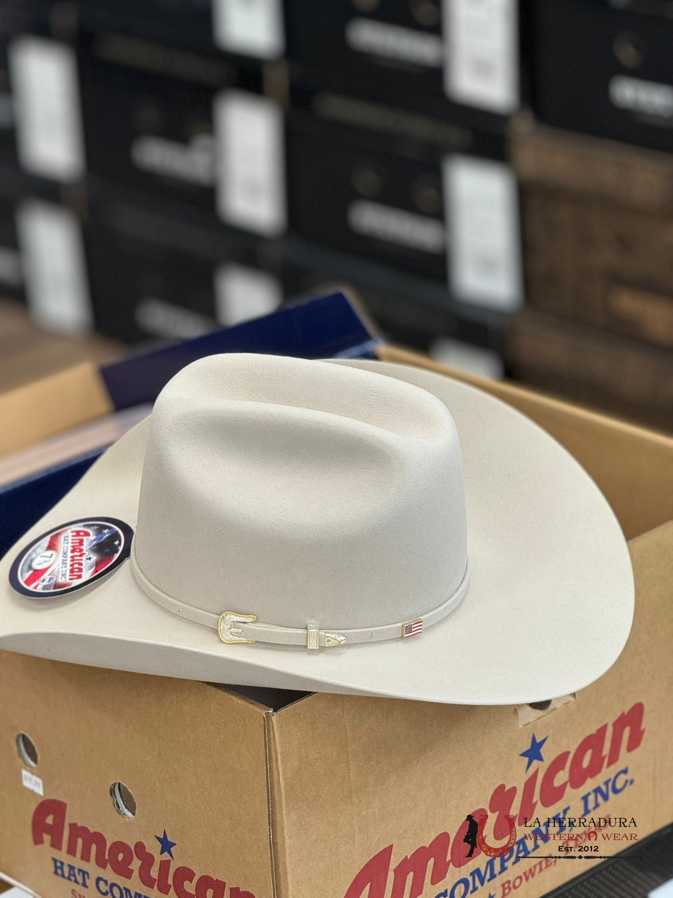 10X American Felt Hat Silverbelly Tejana