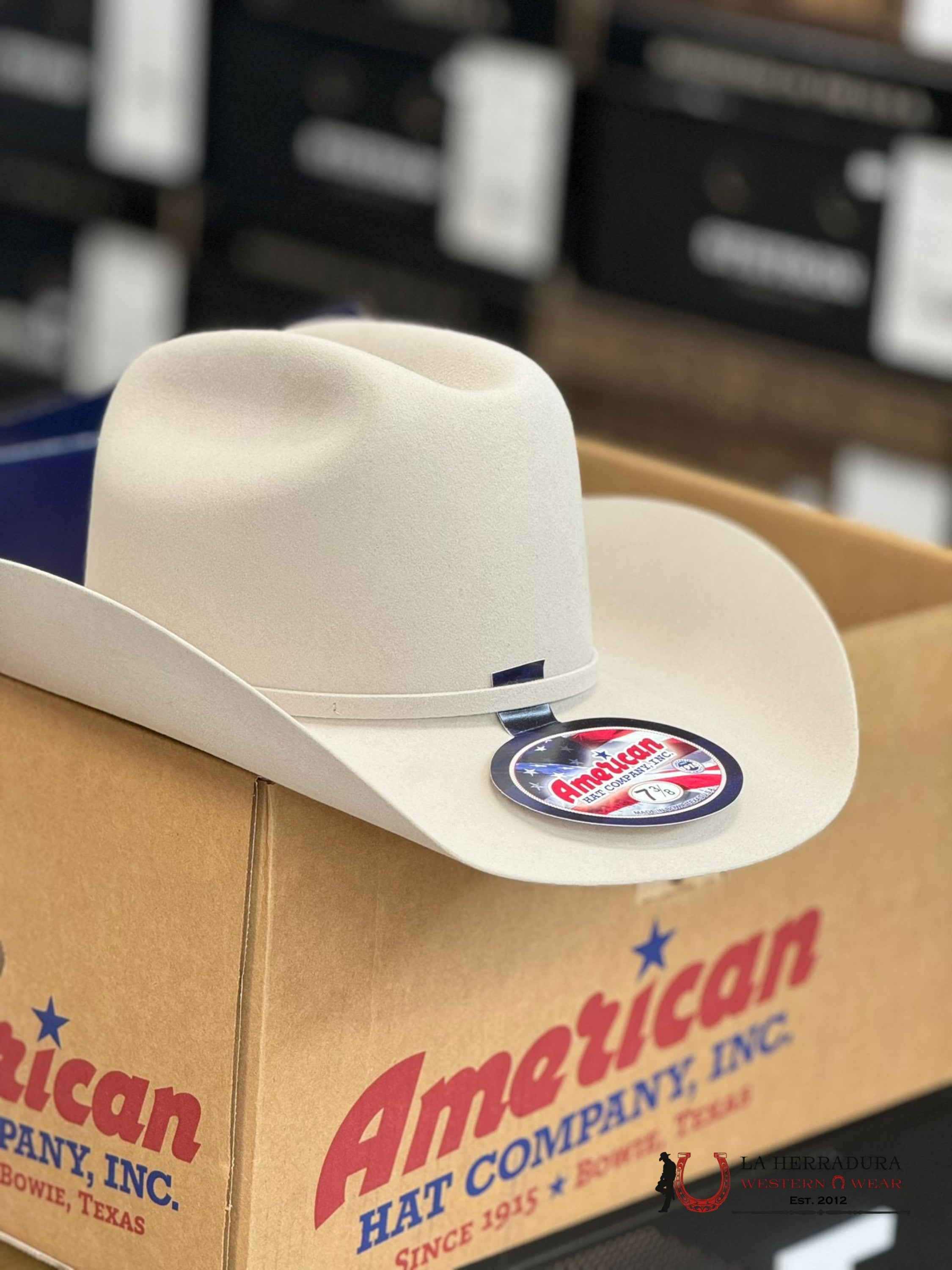 10X American Felt Hat Silverbelly Tejana