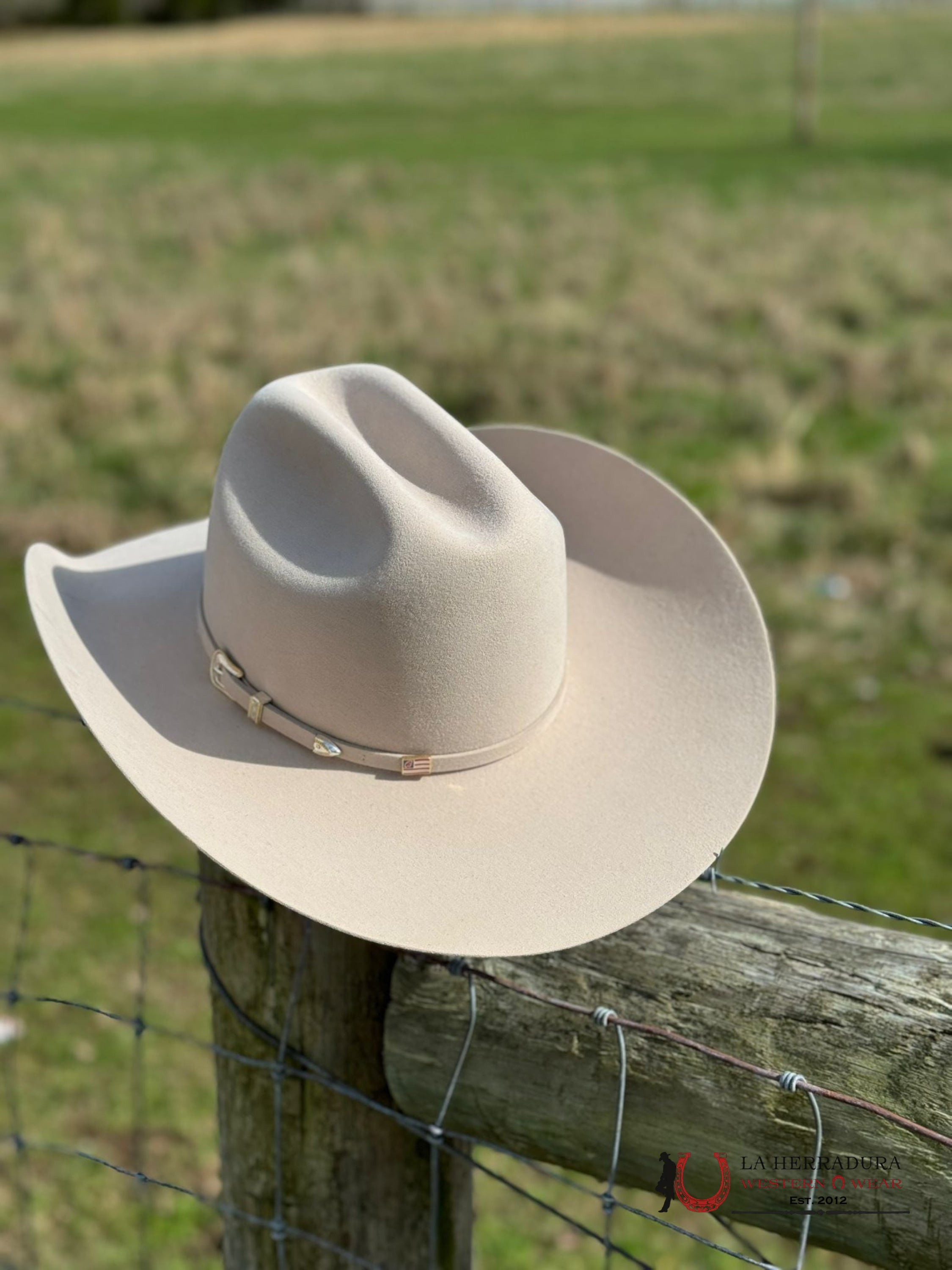 10X American Felt Hat Silverbelly Tejana