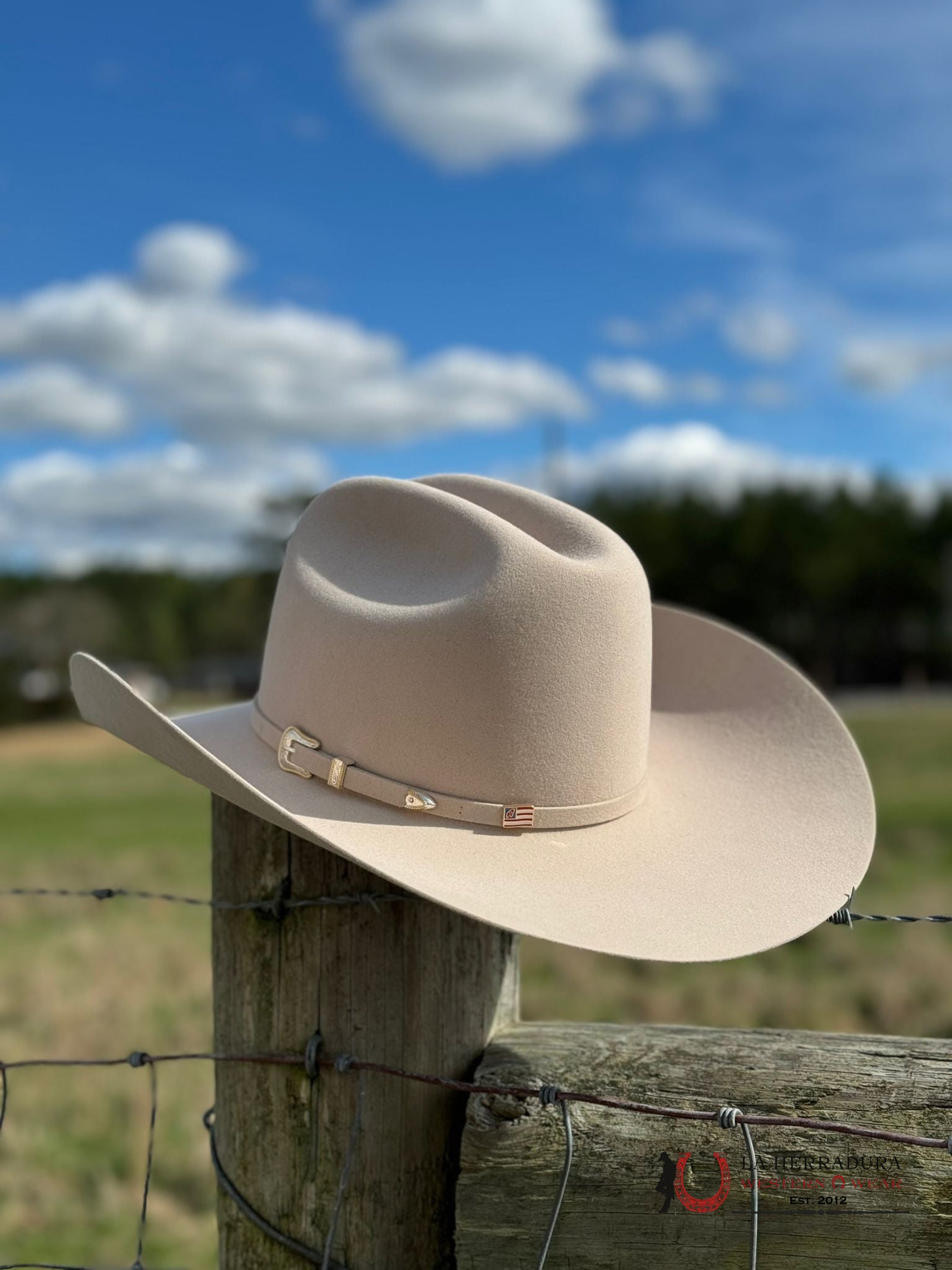 10X American Felt Hat Silverbelly Tejana