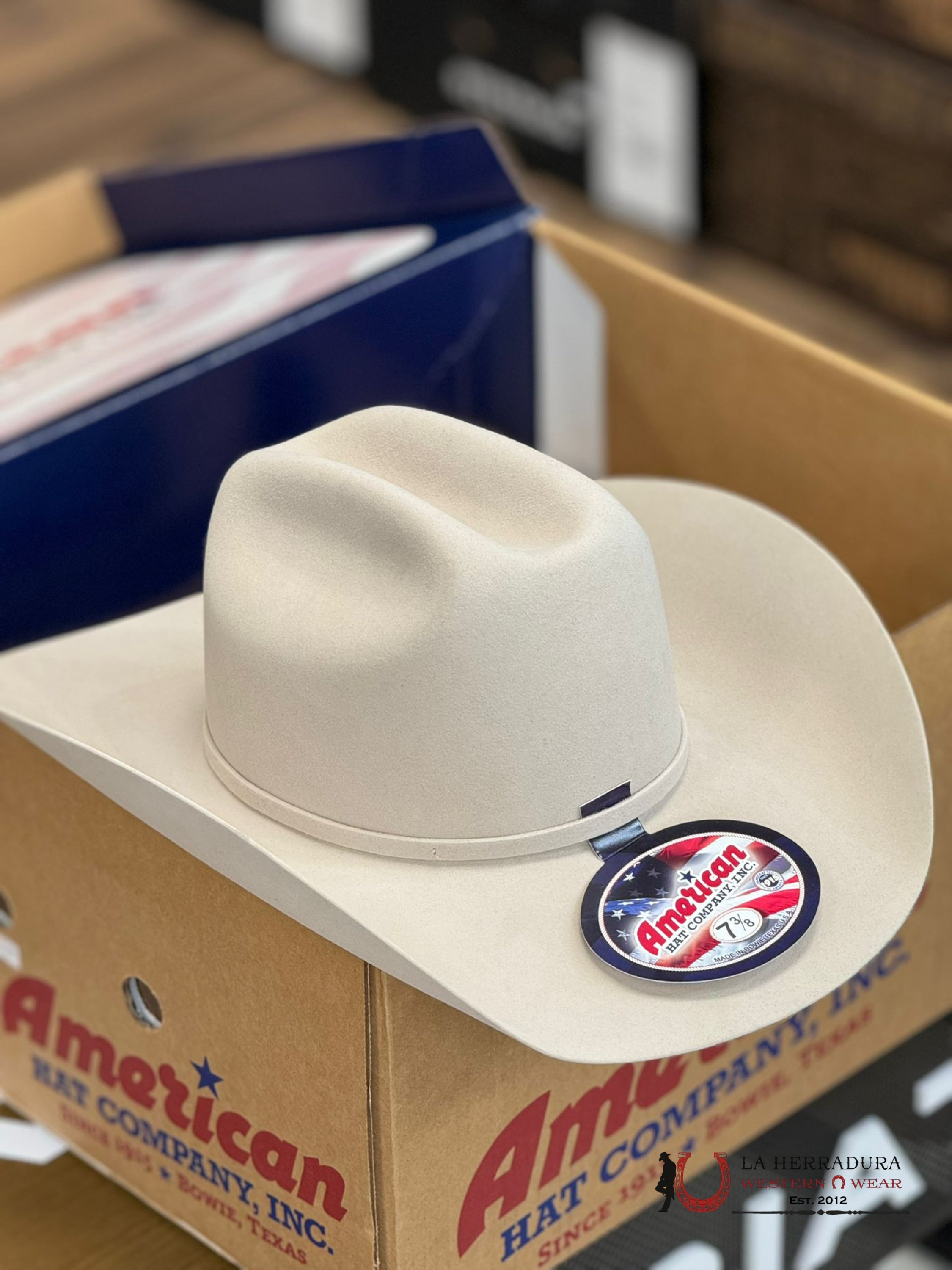 10X American Felt Hat Silverbelly Tejana