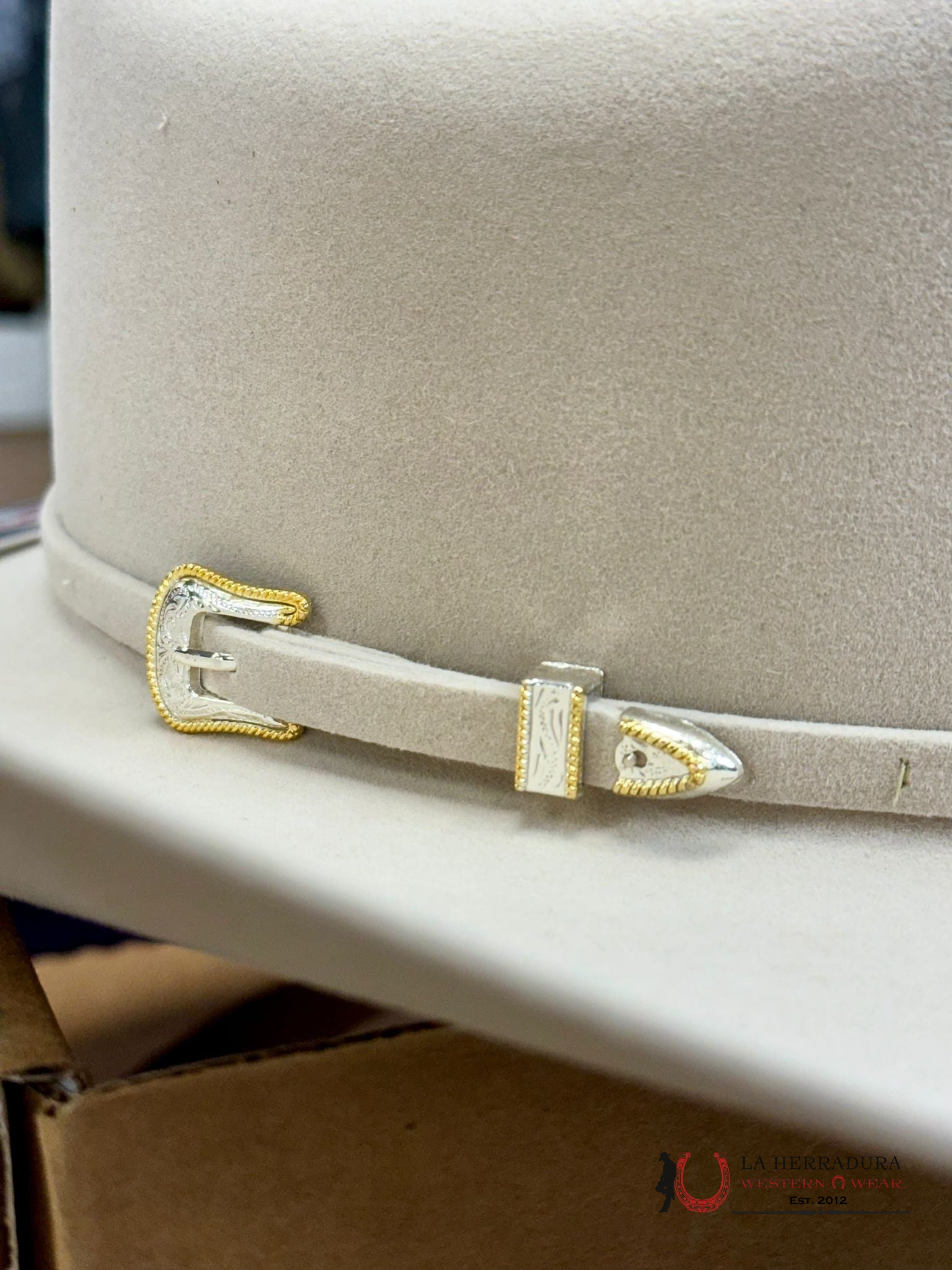 10X American Felt Hat Silverbelly Tejana