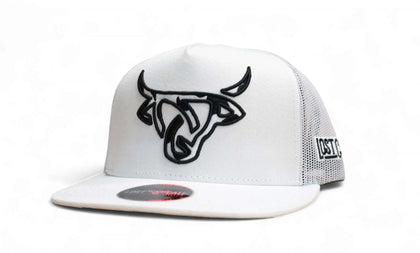LOST CALF COW WHITE