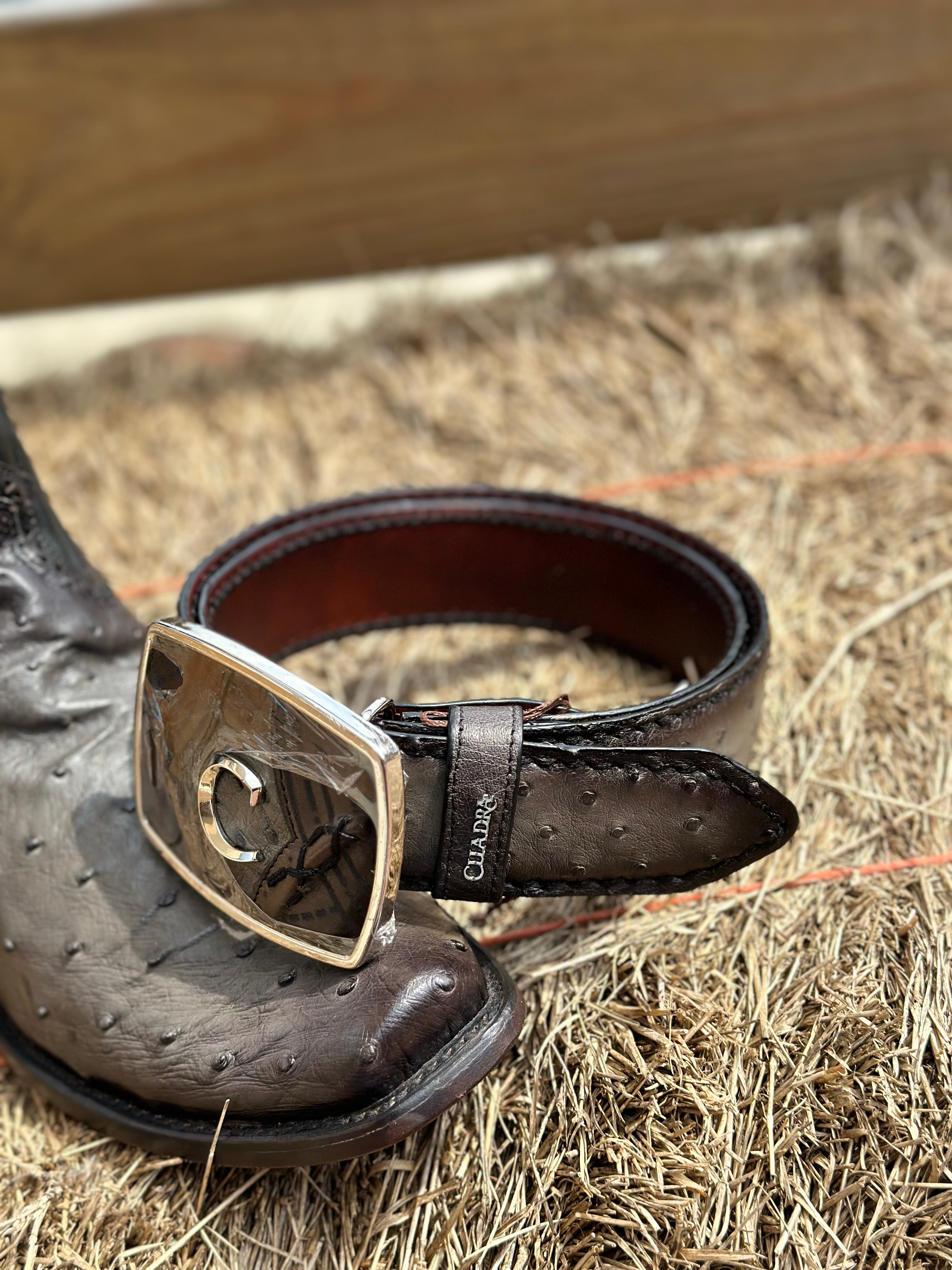 CUADRA OSTRICH COMPLETE GREY BELT