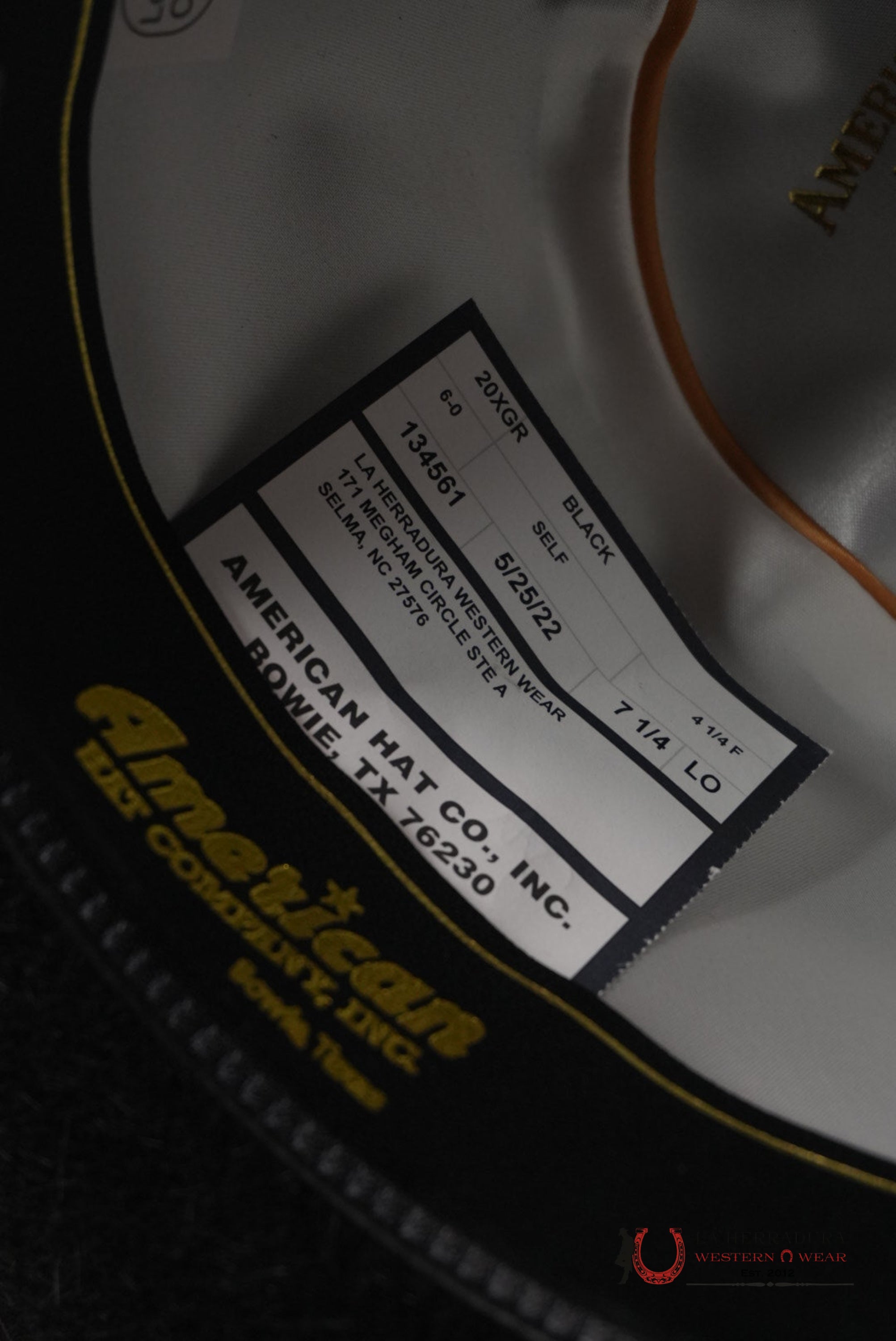 20X American Felt Hat Grizzly Black TEJANA