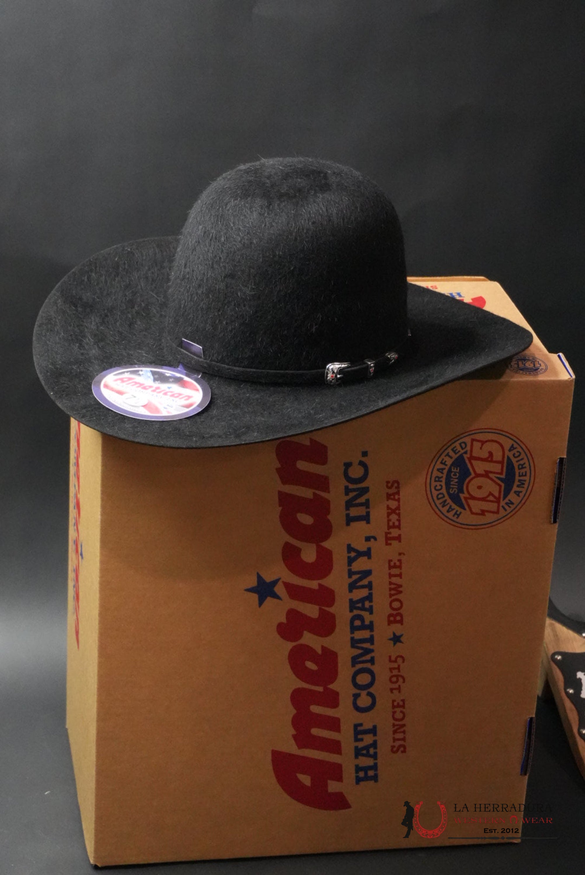20X American Felt Hat Grizzly Black TEJANA