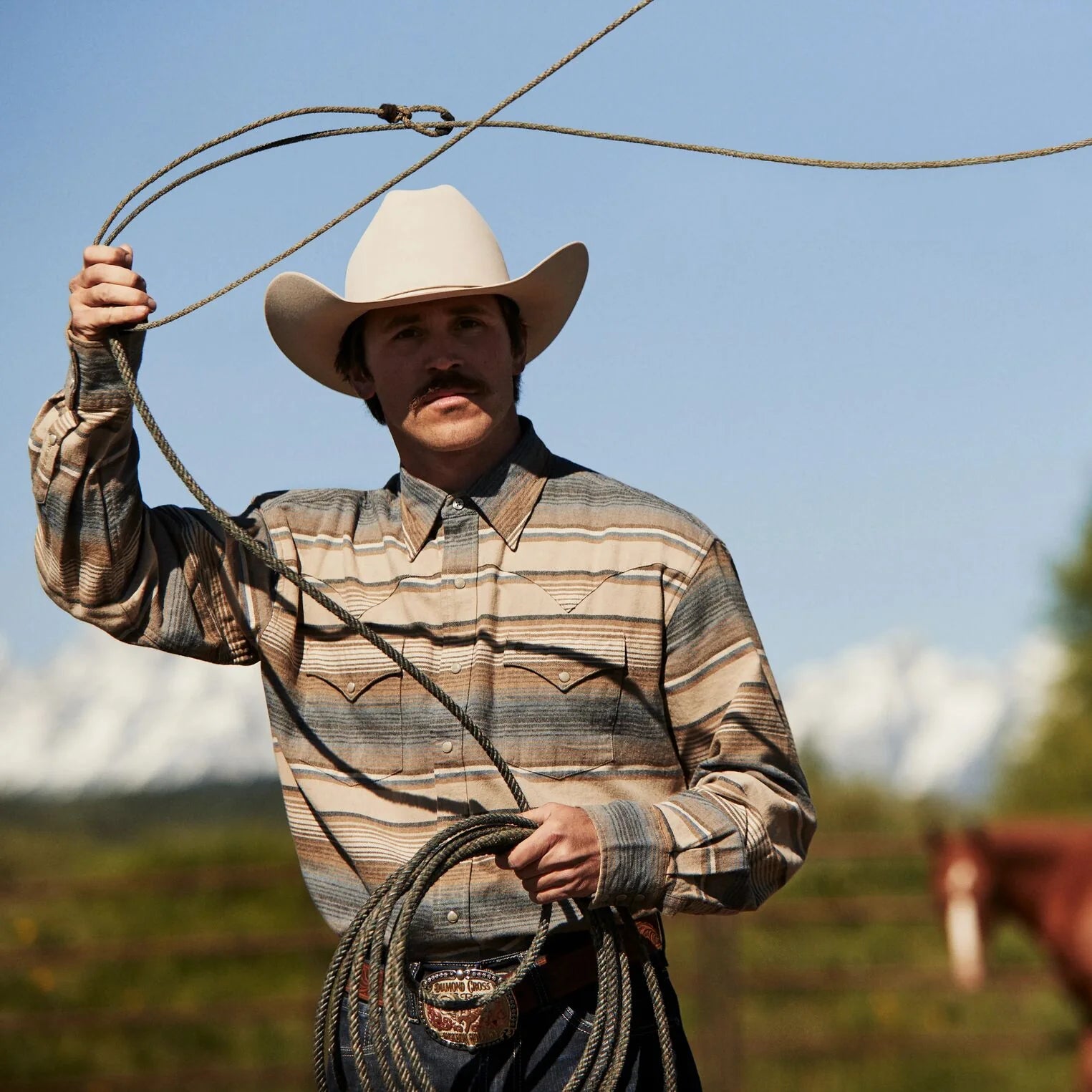 VIENTRE STETSON 10X SHASTA PLATA