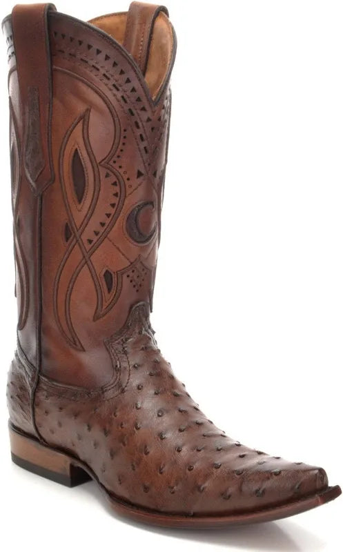 CUADRA AVESTRUZ  EVEREST CHOCOLATE