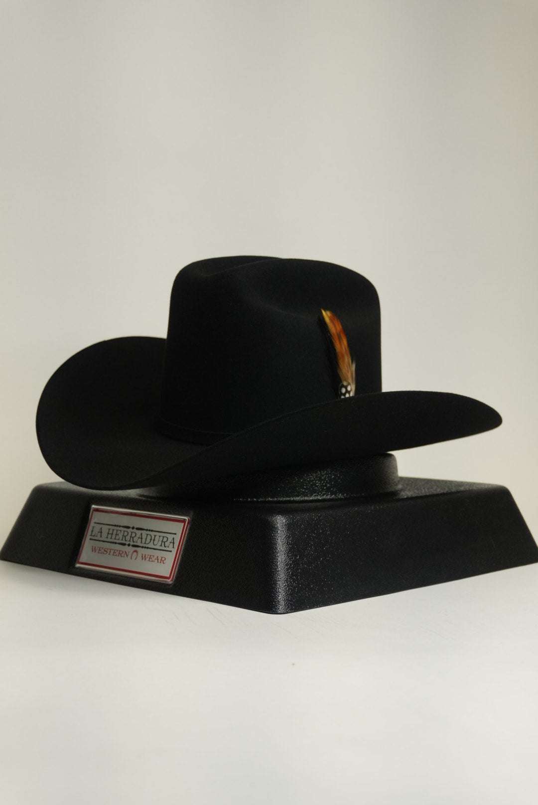 STETSON 10X SHASTA BLACK Copa Alta Laherradurawwnc.com