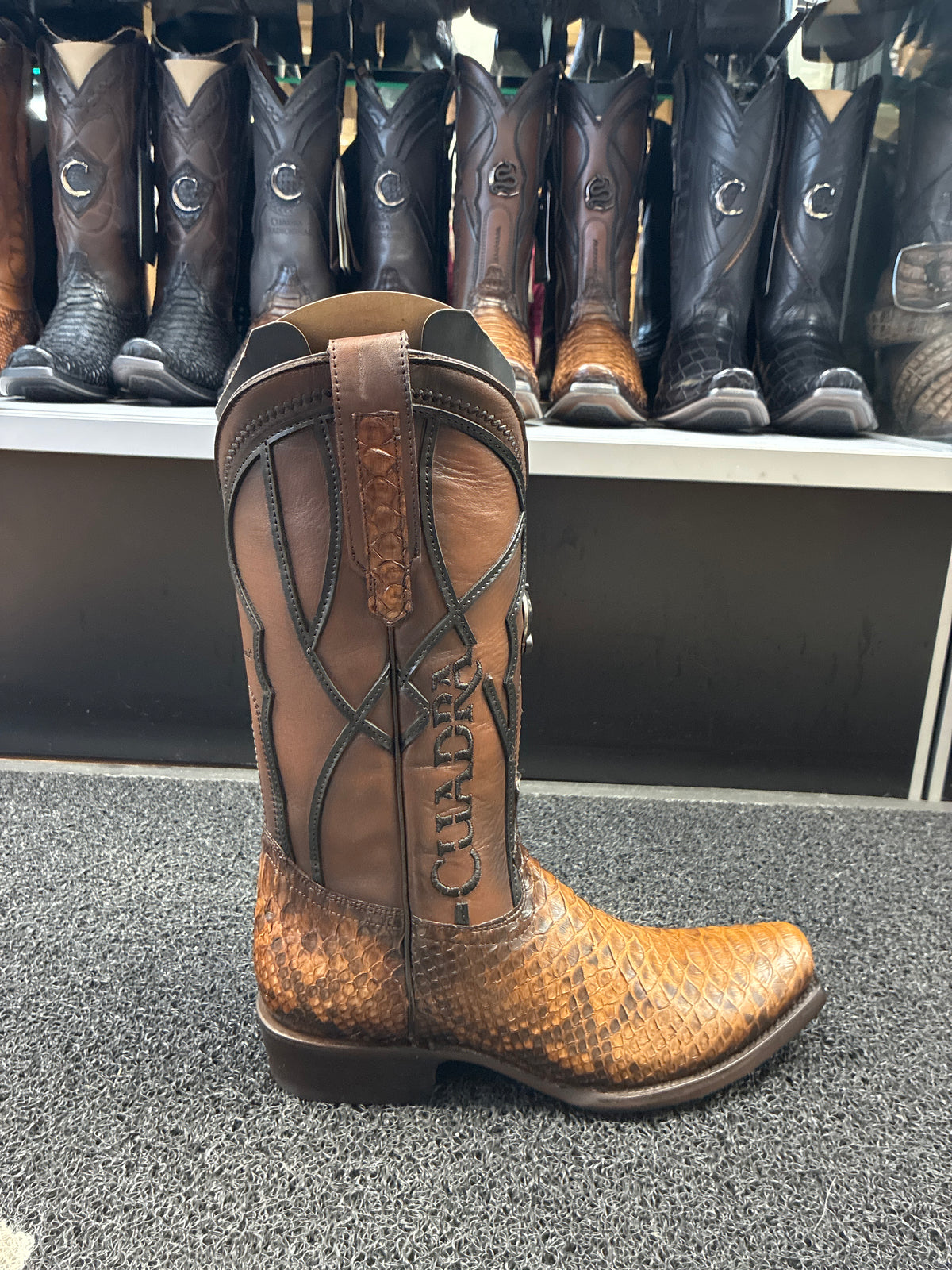 BOTA CUADRA HONEY PYTHÓN BACK OVER MIEL NARROW TOE CC483