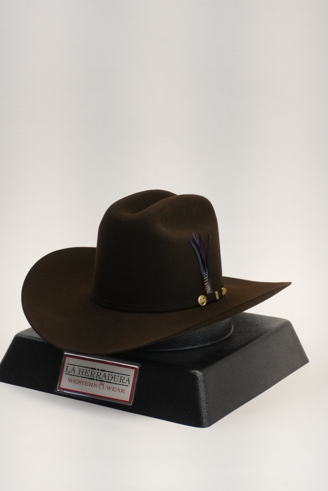 STETSON EL PRESIDENTE 100X CHOCOLATE COPA ALTA