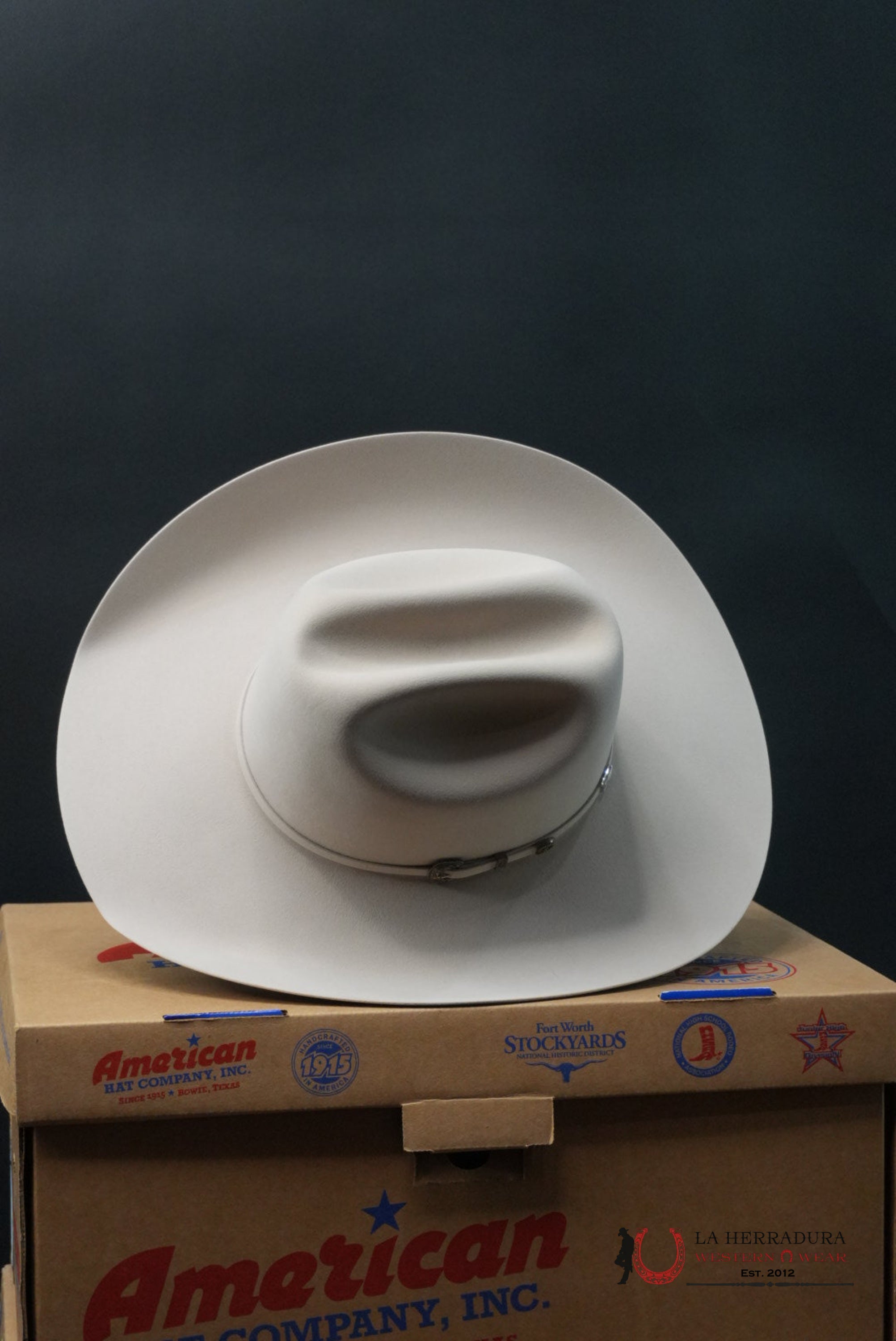 500X American Felt Hat Silver Belly TEJANA