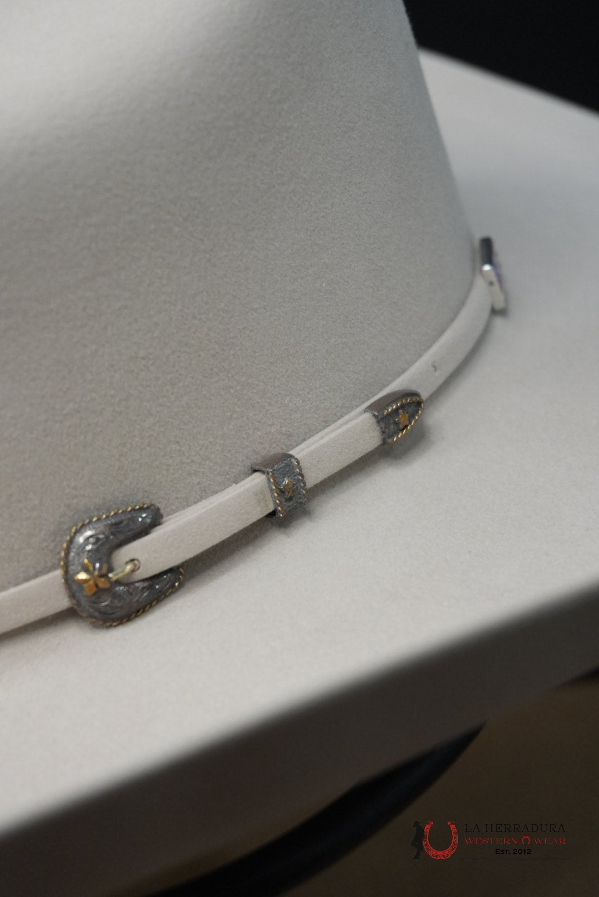 500X American Felt Hat Silver Belly TEJANA