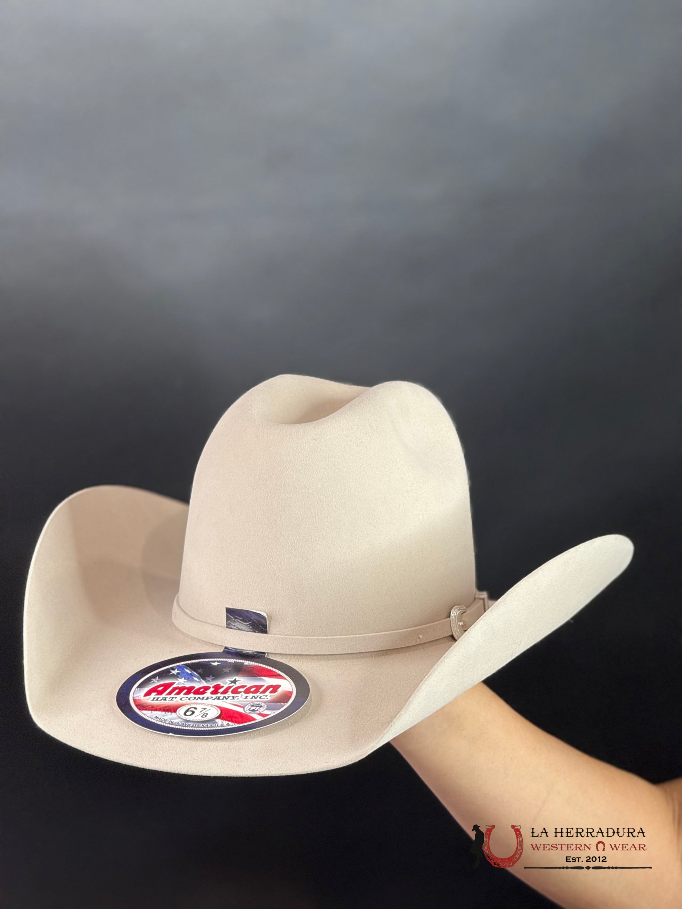 7X American Felt Silver Belly TEJANA