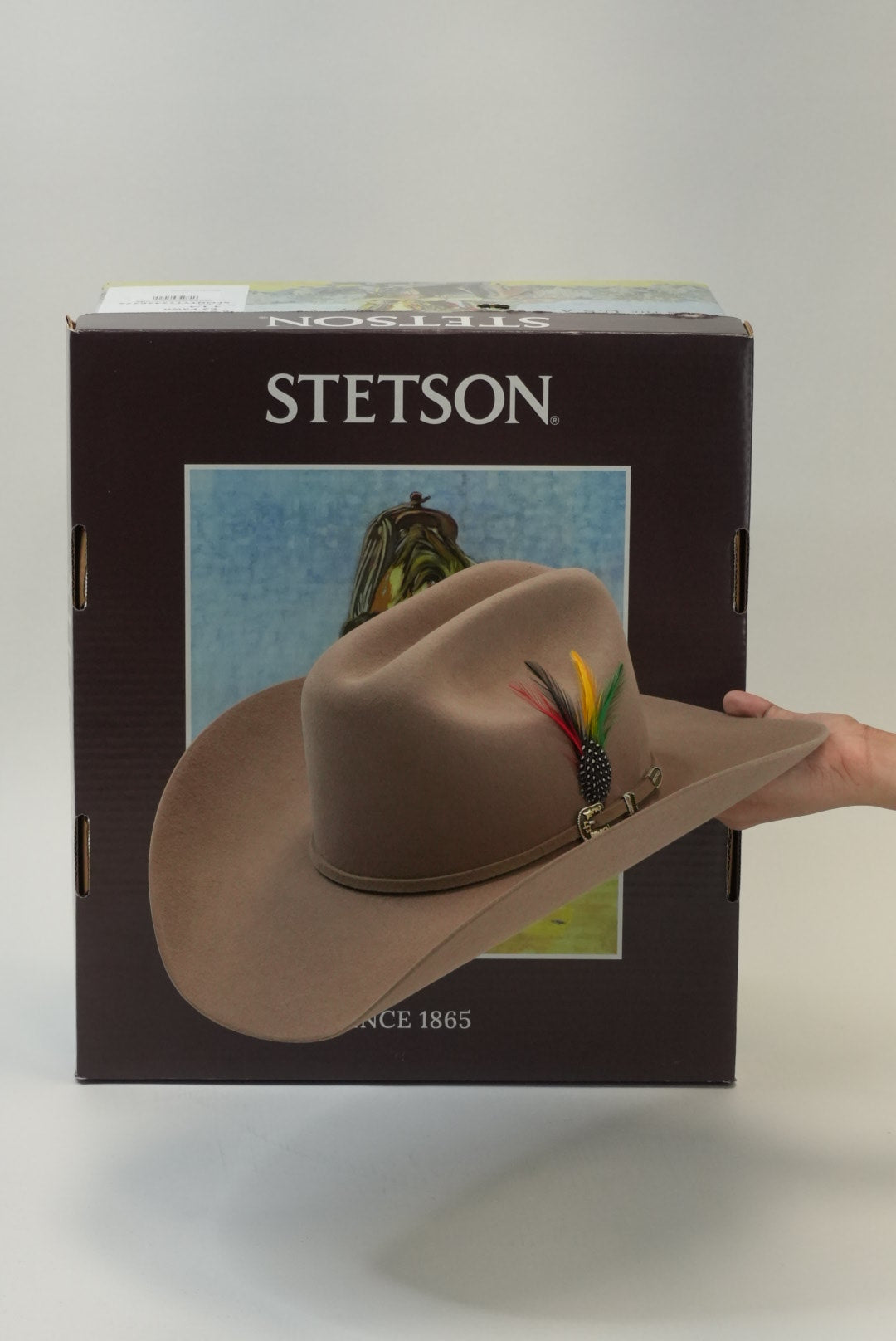 STETSON 6X E5 SKYLINE TRADICIONAL SAHARA