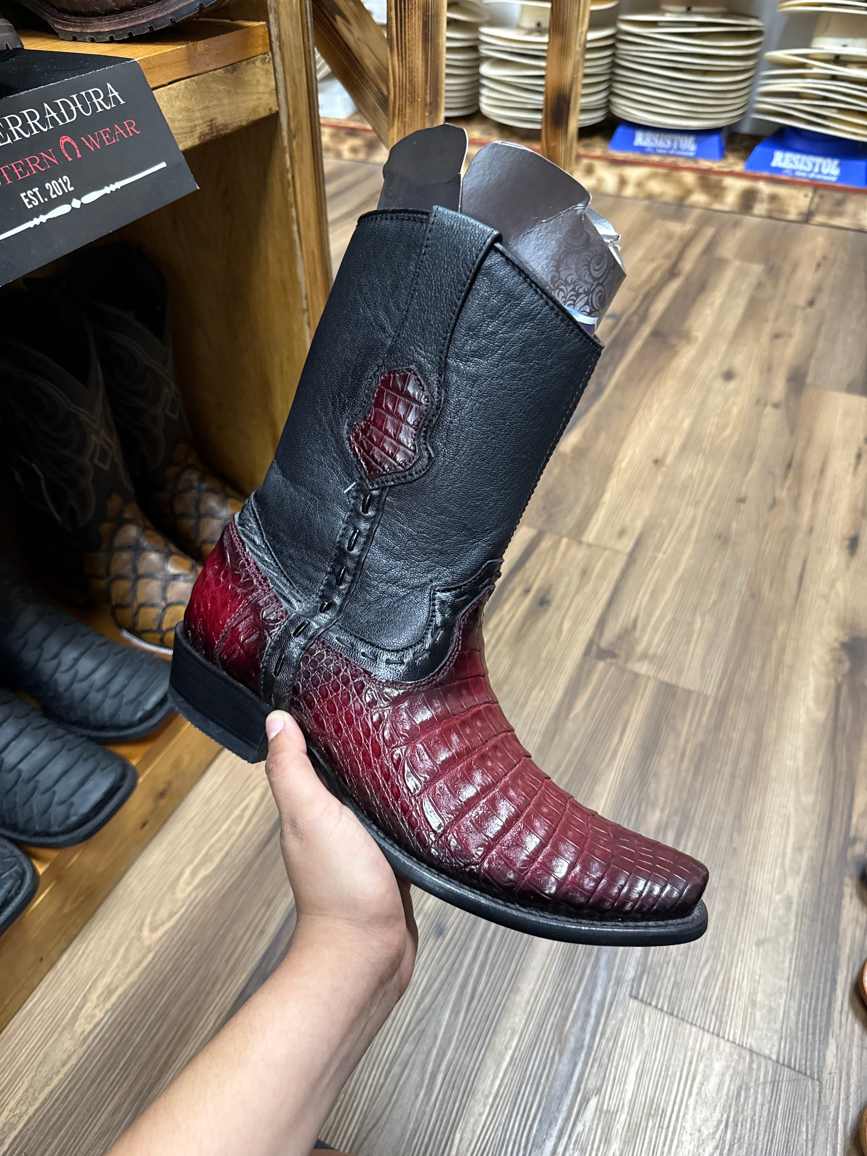 WILD WEST DUBAI BOOT SHORT  CAIMAN BELLY FADED  BURGUNDY 279B8243