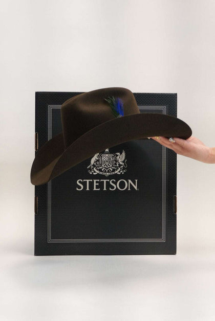 STETSON 10X SHASTA NEGRO