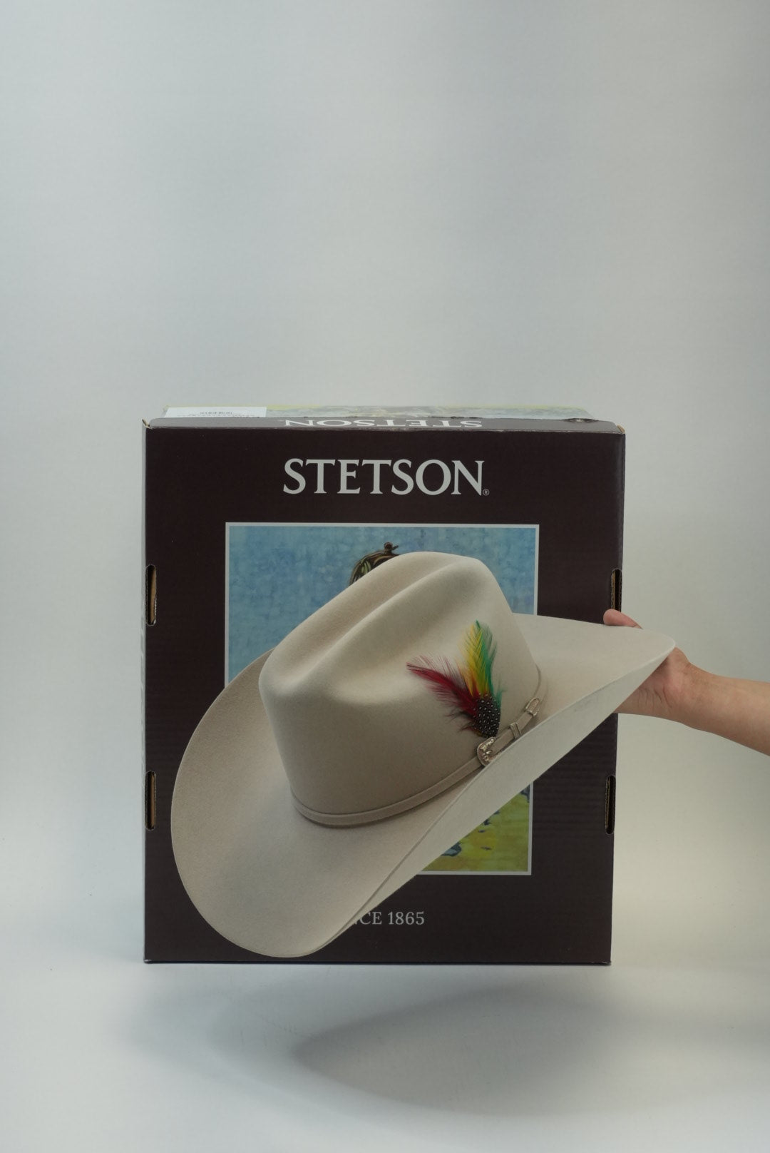 STETSON 6X SKYLINE TRADICIONAL SILVERBELLY