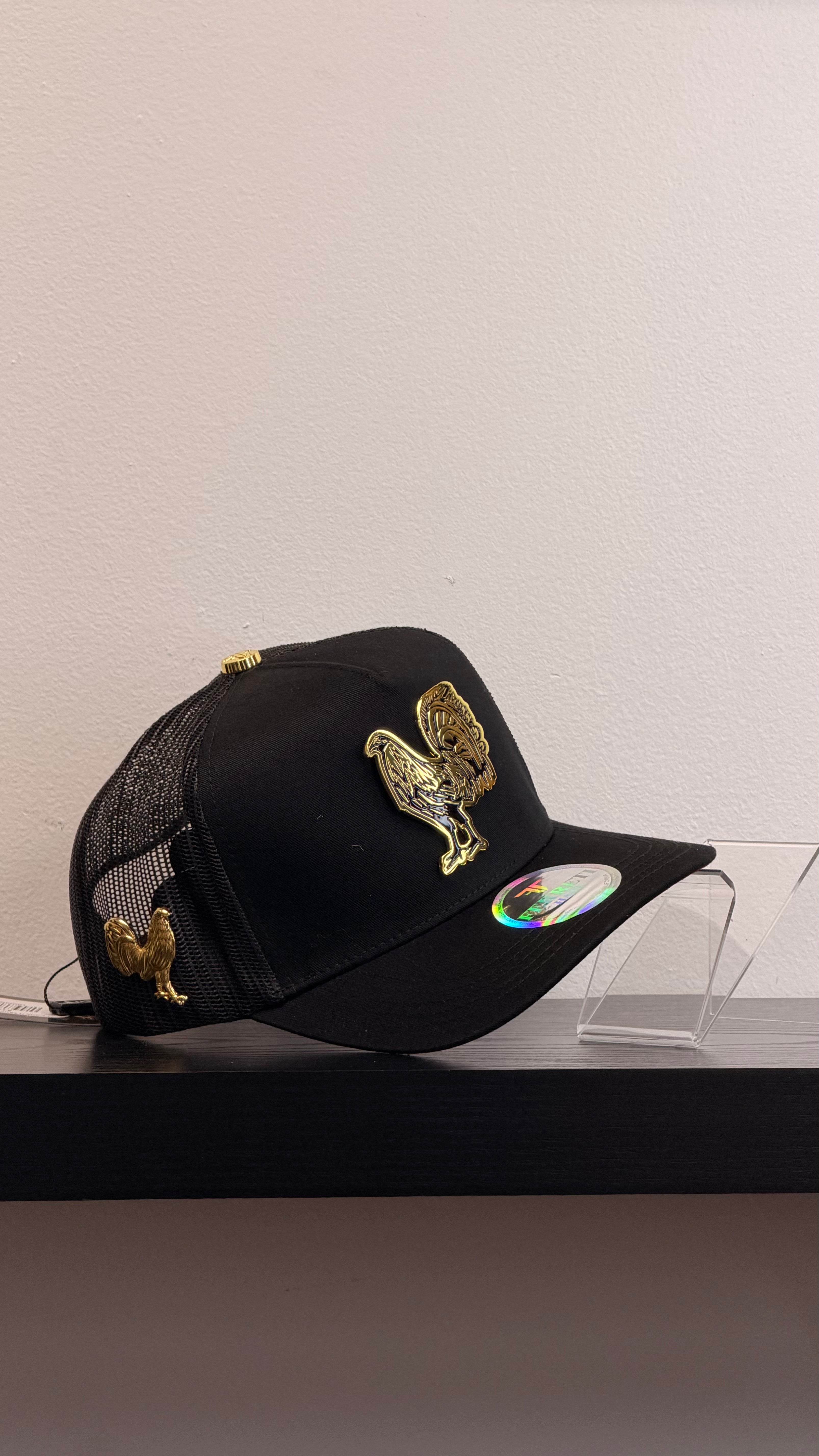 FERRETI MINERVA NEW FT62M