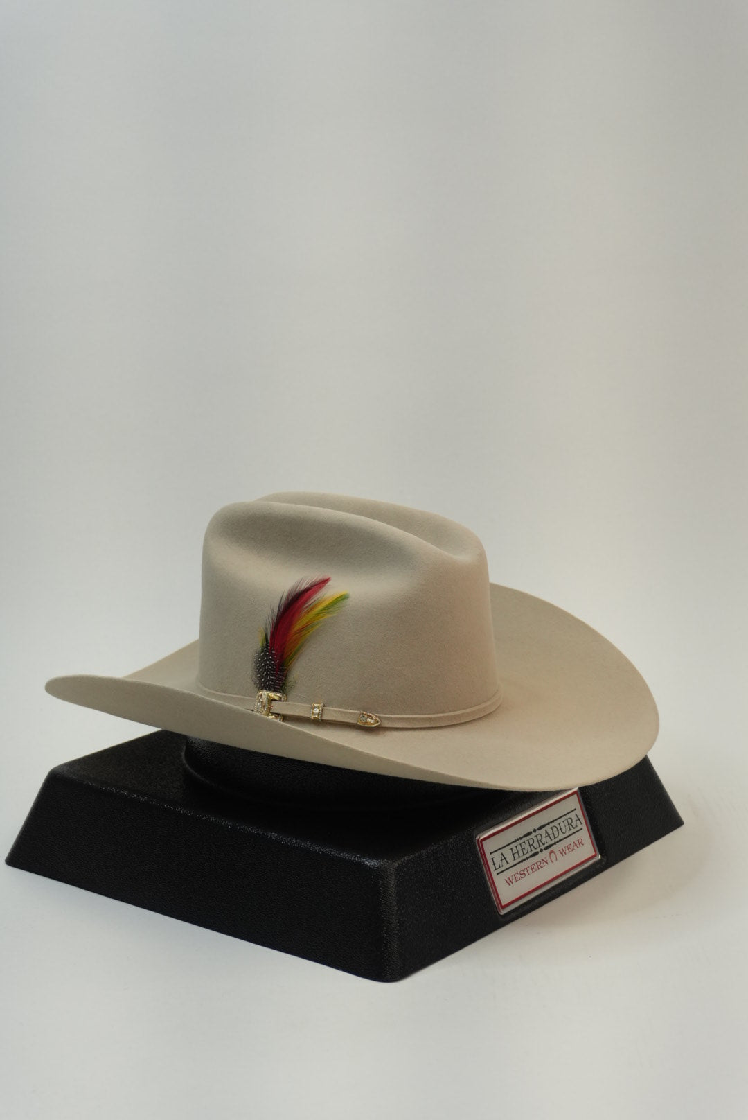 STETSON GUADALUPANA 6X NEGRO