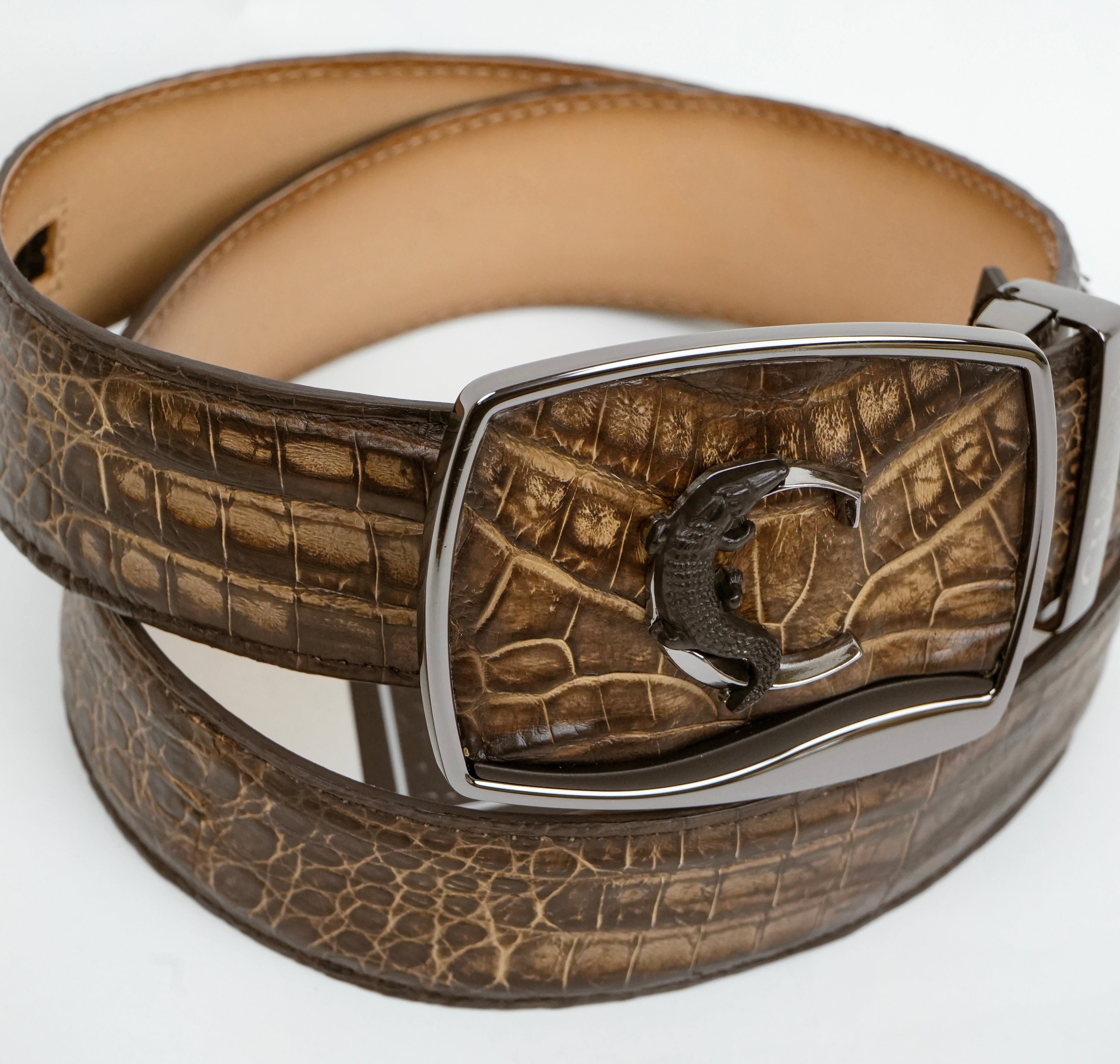 CUADRA BROWN CAIMAN BELT FUSCUS STRAUSS CAFÉ -BC480