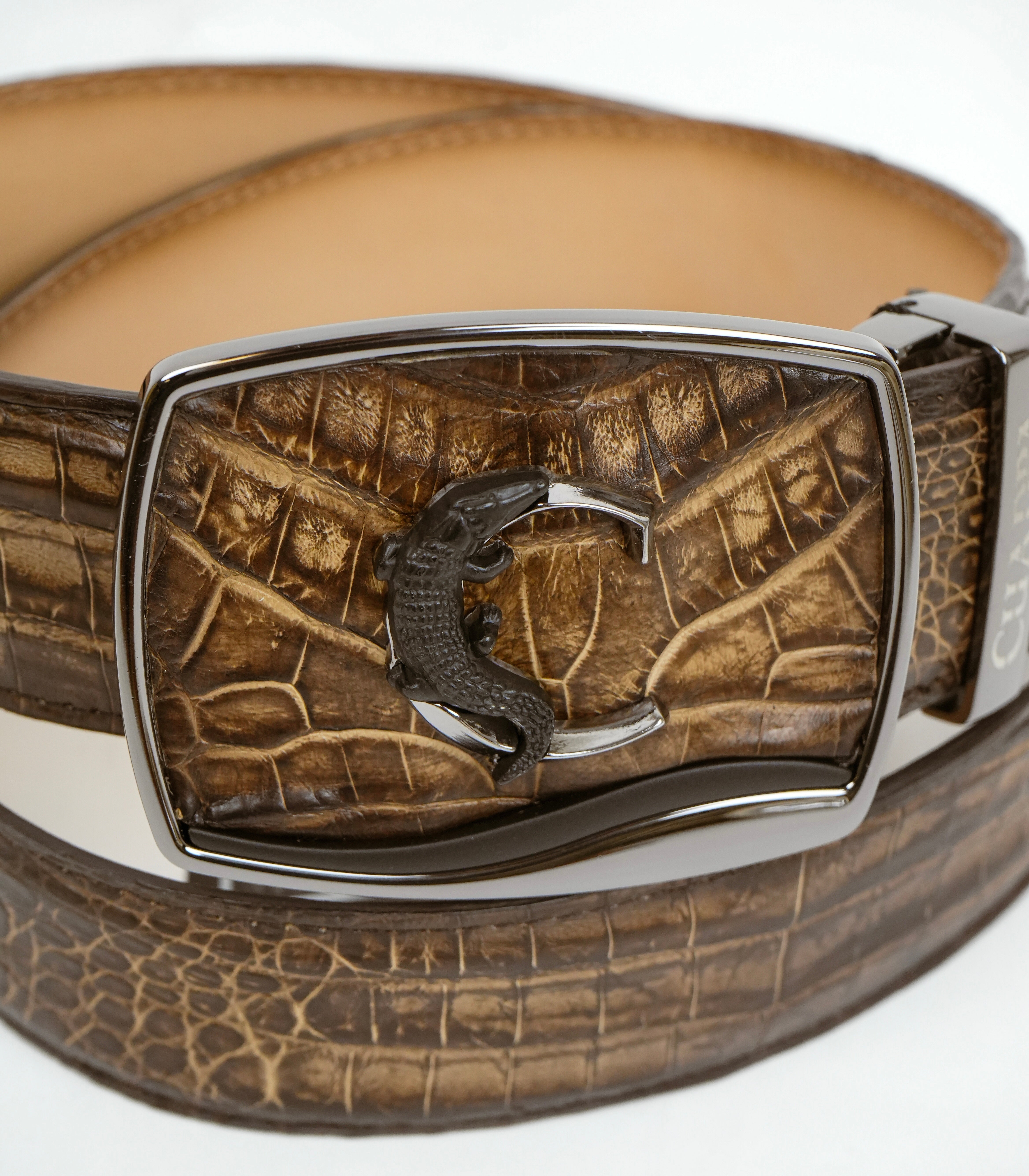 CUADRA BROWN CAIMAN BELT FUSCUS STRAUSS CAFÉ -BC480