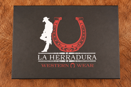 LA HERRADURA NOBUCK CLEANING KIT