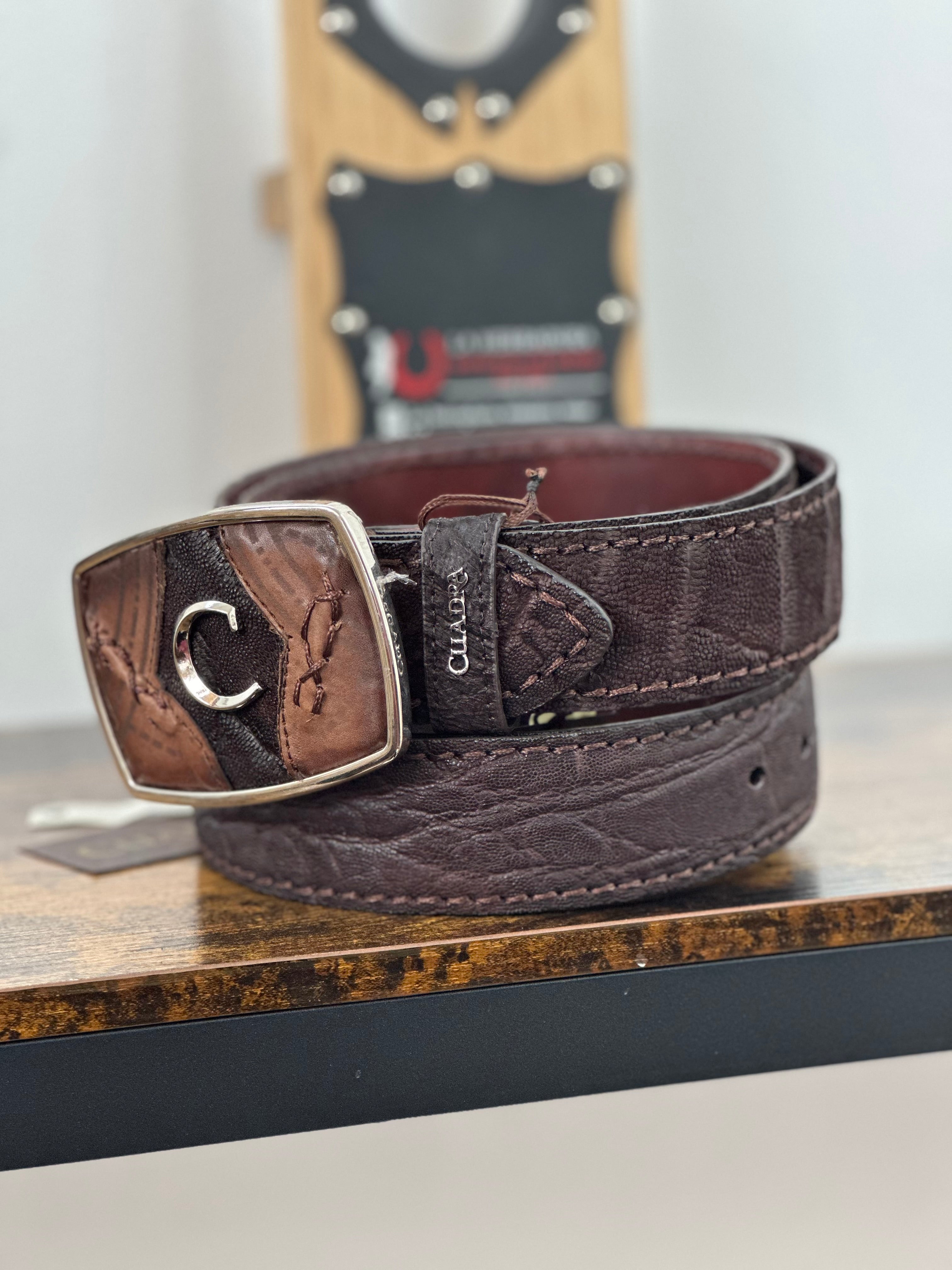 CUADRA BELT ELEPHANT BROWN CAFE CASTAÑO