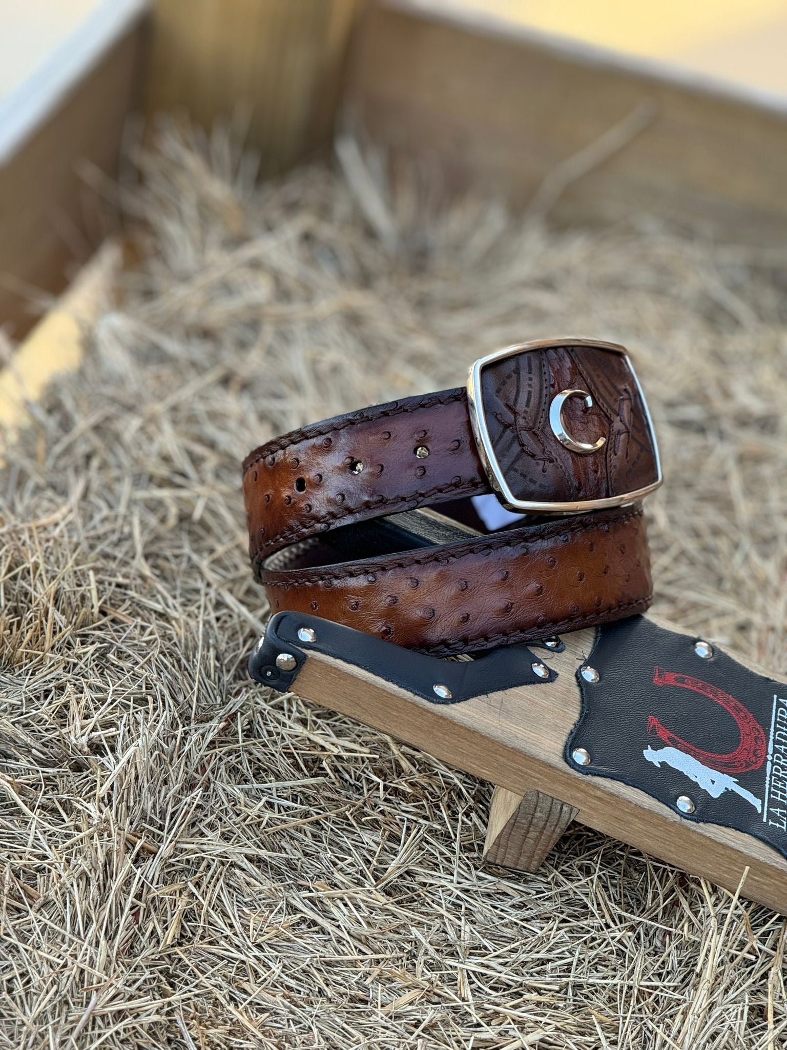 CUADRA BELT OSTRICH COMPLETE MORONI BROWN CASTAÑO