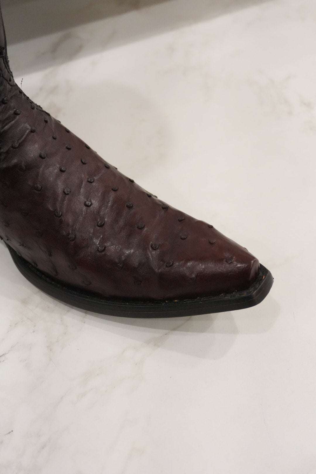 CUADRA  BOTA DE AVESTRUZ MORONI BLACK-CHERRY SNIP TOE Laherradurawwnc.com