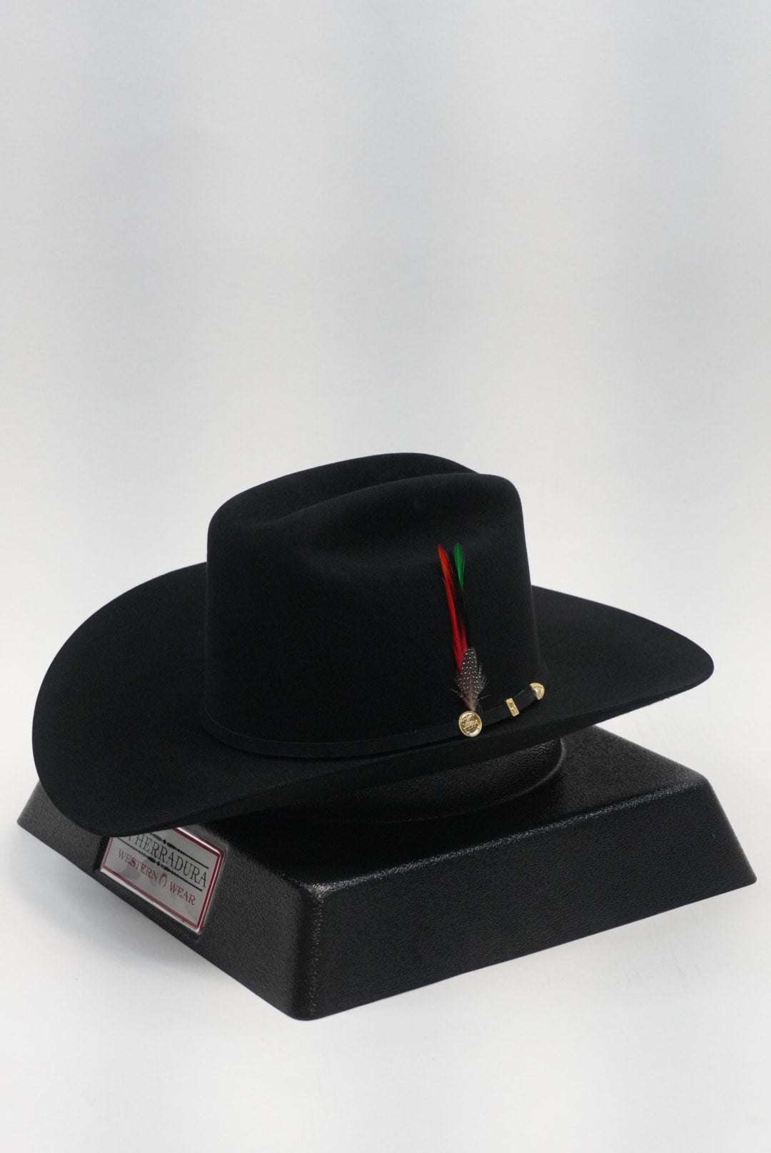 STETSON EL PRESIDENTE 100X BLACK/NEGRO COPA ALTA Laherradurawwnc.com