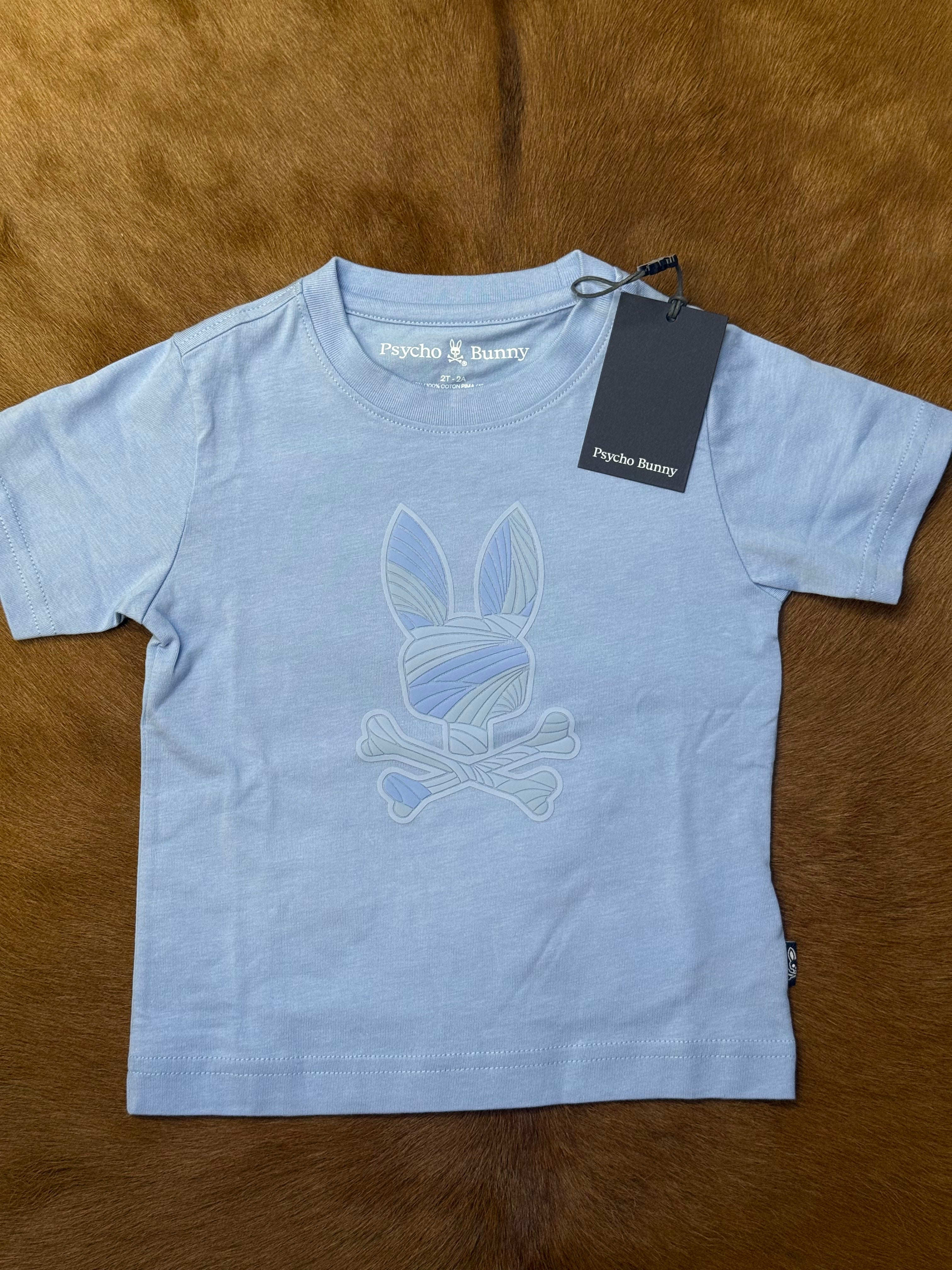 PSYCHO BUNNY KIDS EIAXTER GRAPHIC TEE SERENITY B0U409F200