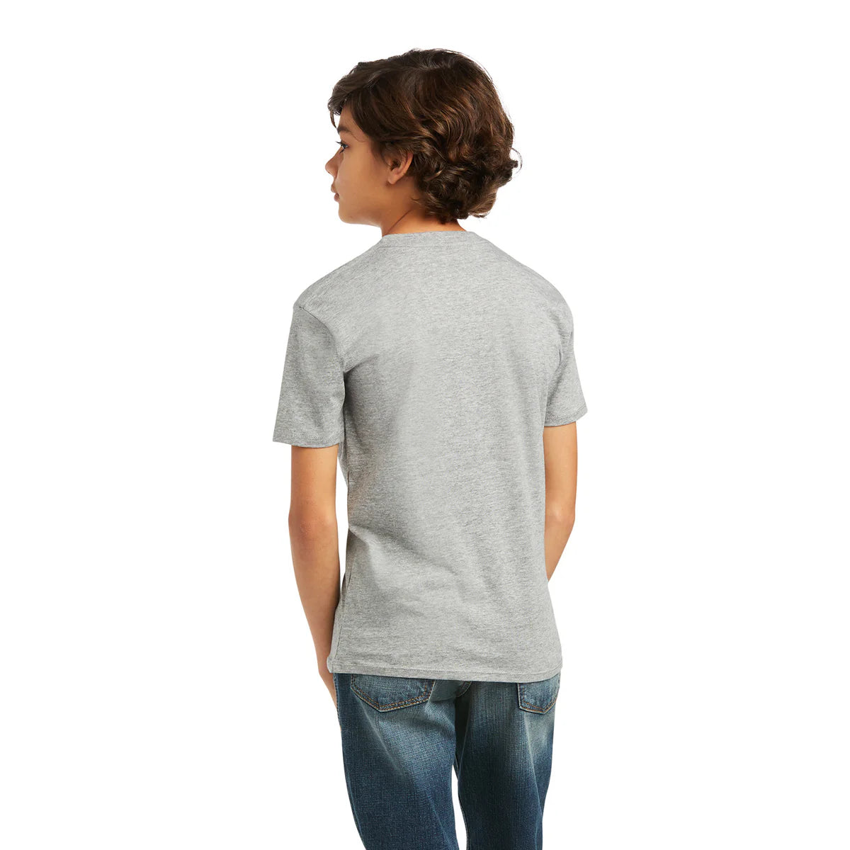 ARIAT BLENDS SS T-SHIRT 10039936