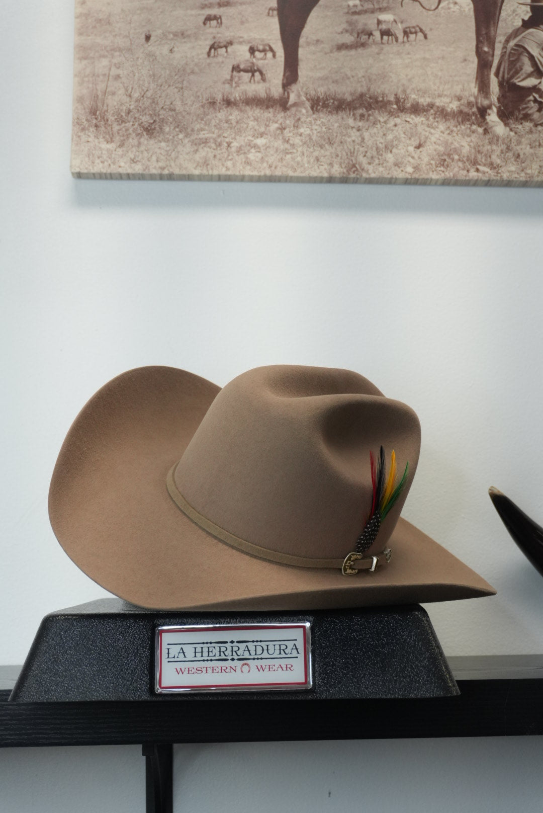 STETSON 6X E5 SAHARA SKYLINE TRADICIONAL